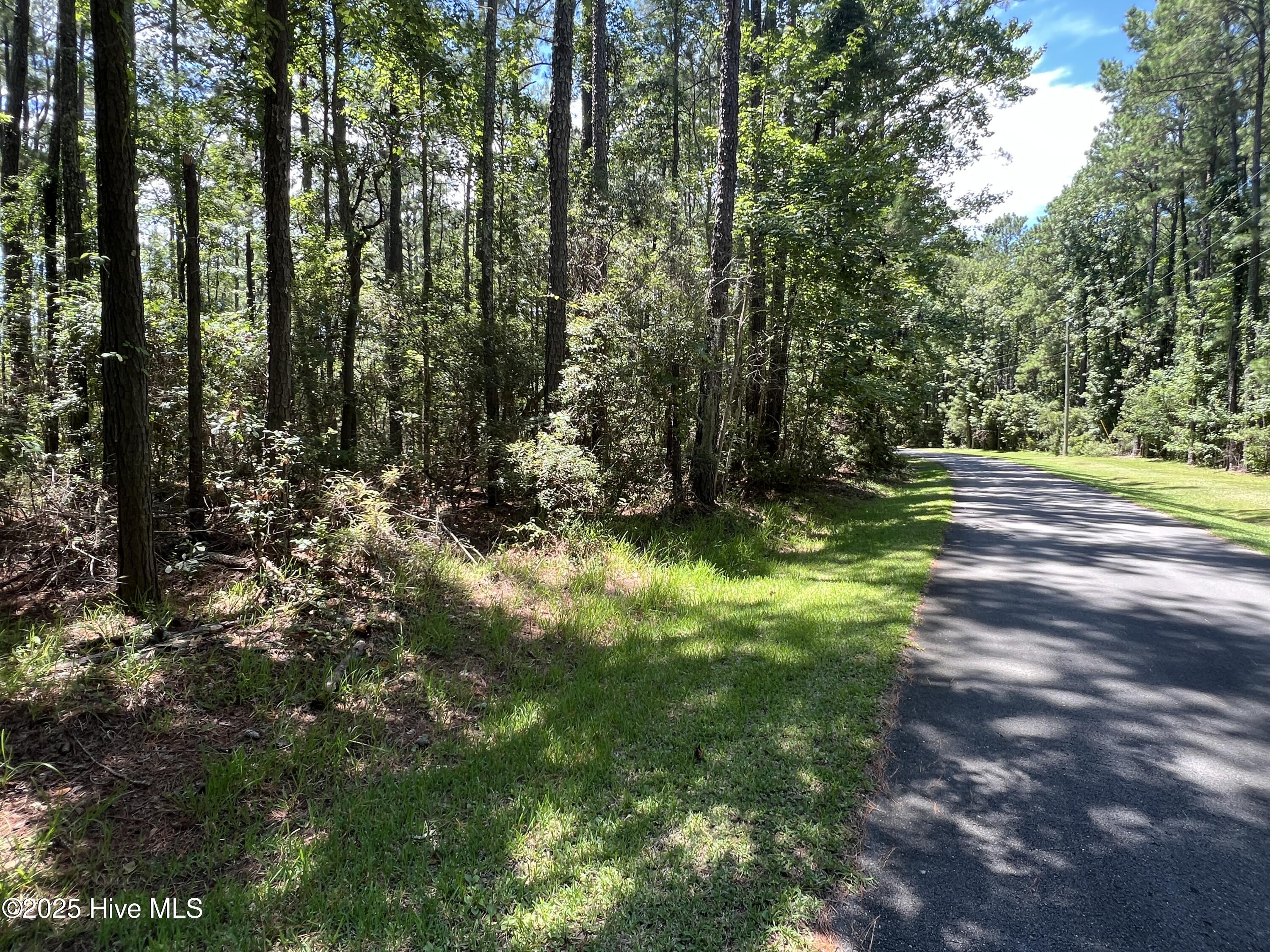 9918 Canady Landing Road Property Photo 1