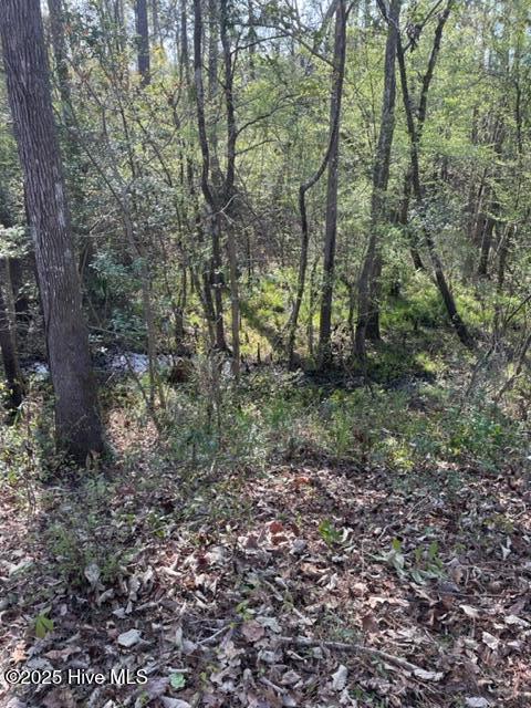 9273 Buccaneer Court Property Photo 3