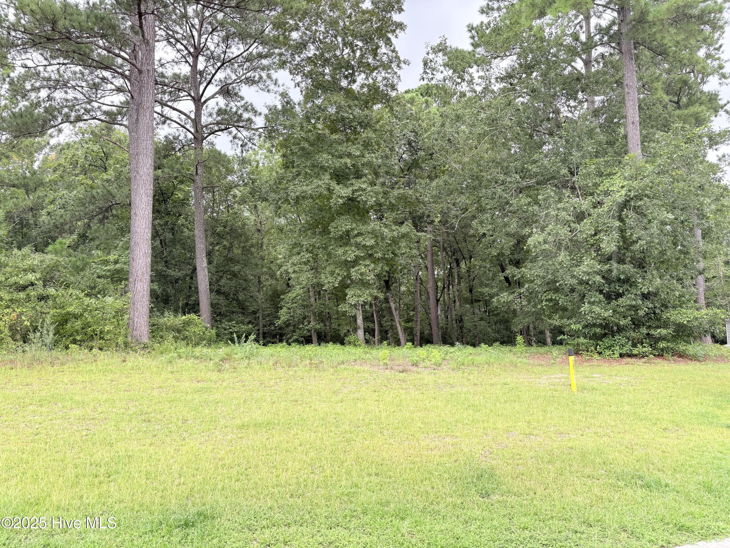 9273 Buccaneer Court Property Photo 5