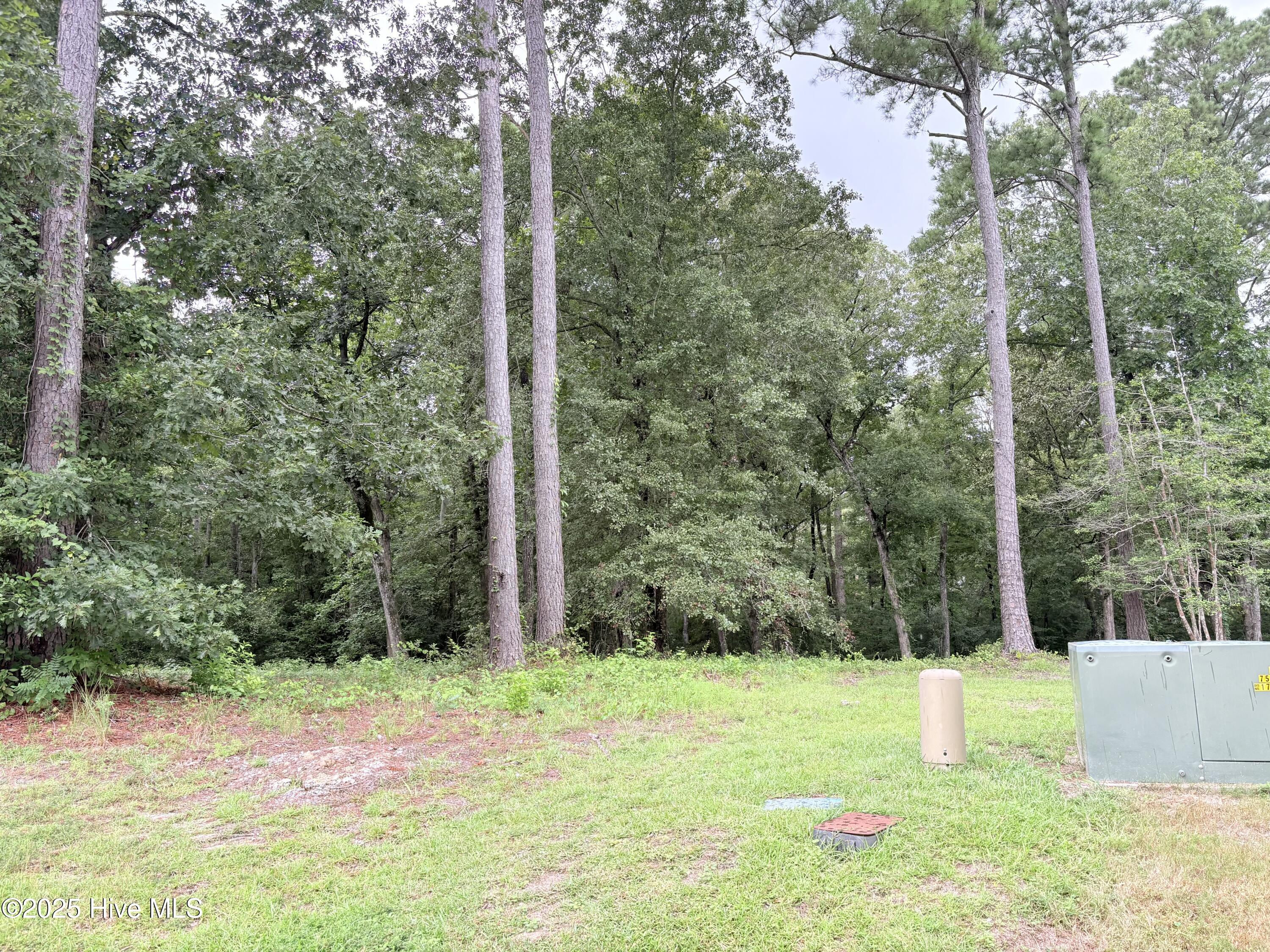 9273 Buccaneer Court Property Photo 6