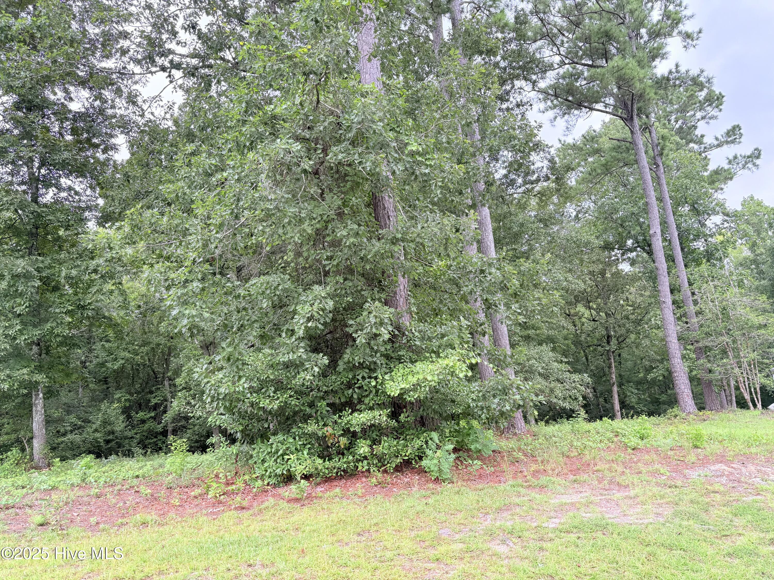 9273 Buccaneer Court Property Photo 7