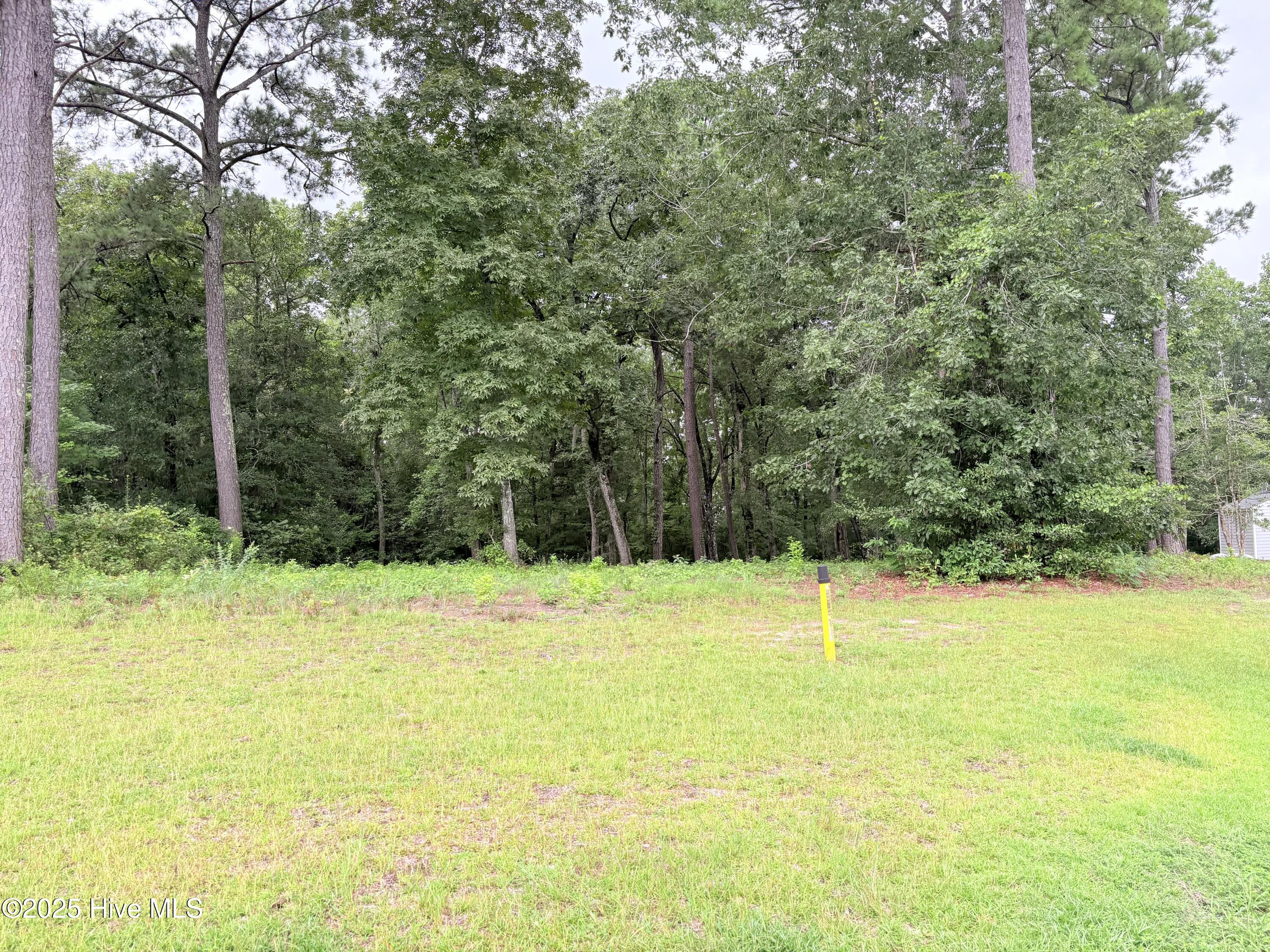 9273 Buccaneer Court Property Photo 9