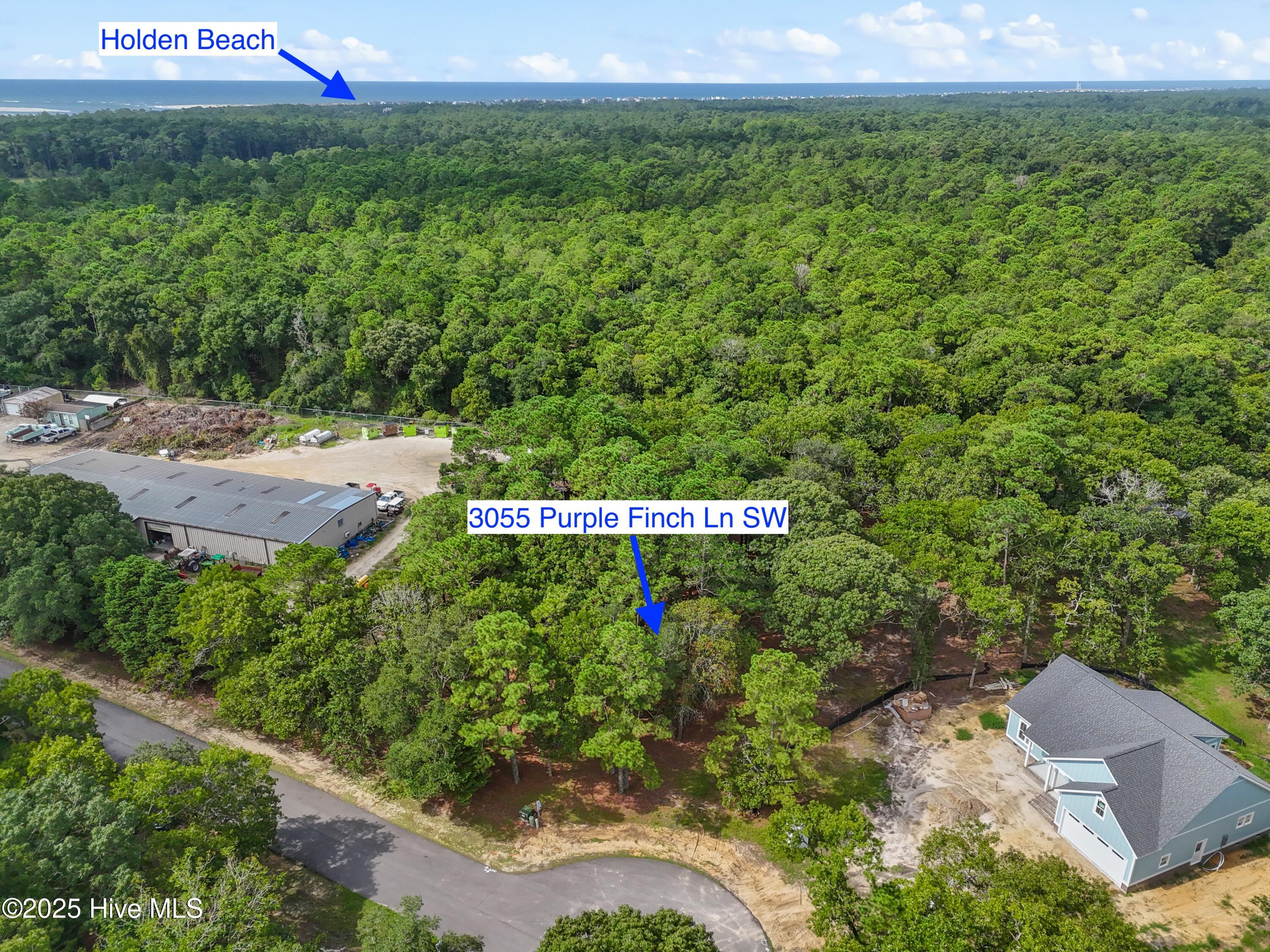 3055 Purple Finch Lane Property Photo 4