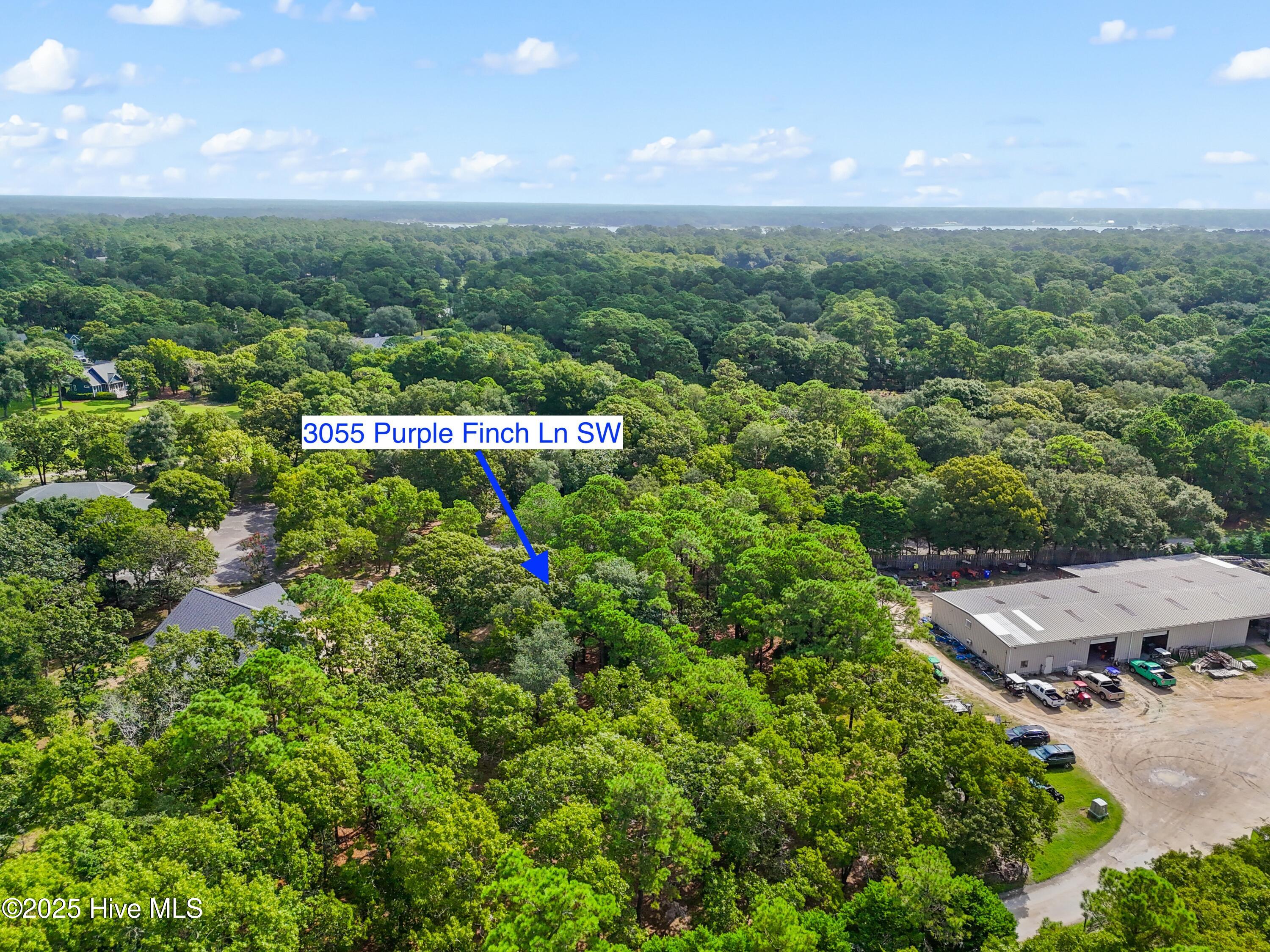 3055 Purple Finch Lane Property Photo 8