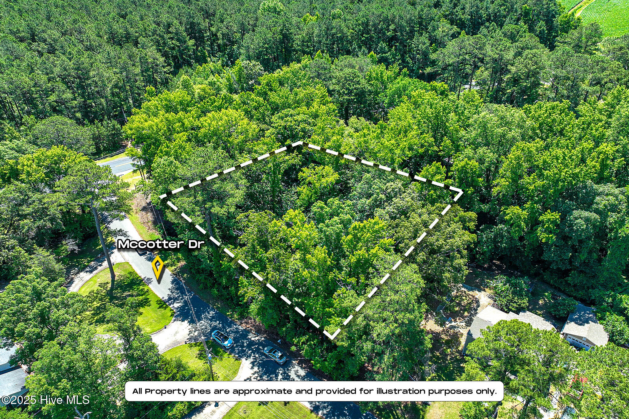 12 Mccotter Drive Property Photo 4