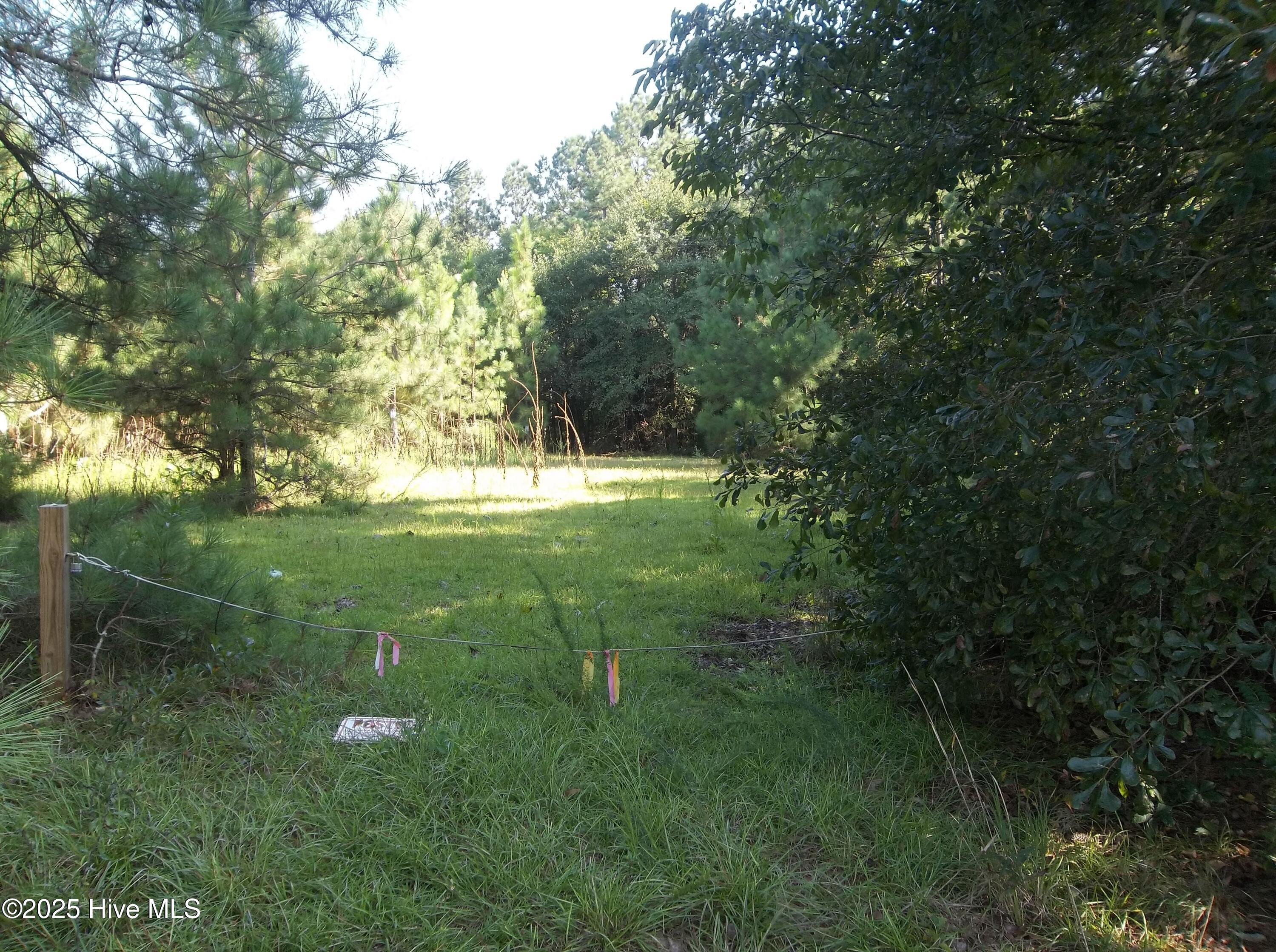 0 Morgan Road Property Photo 1