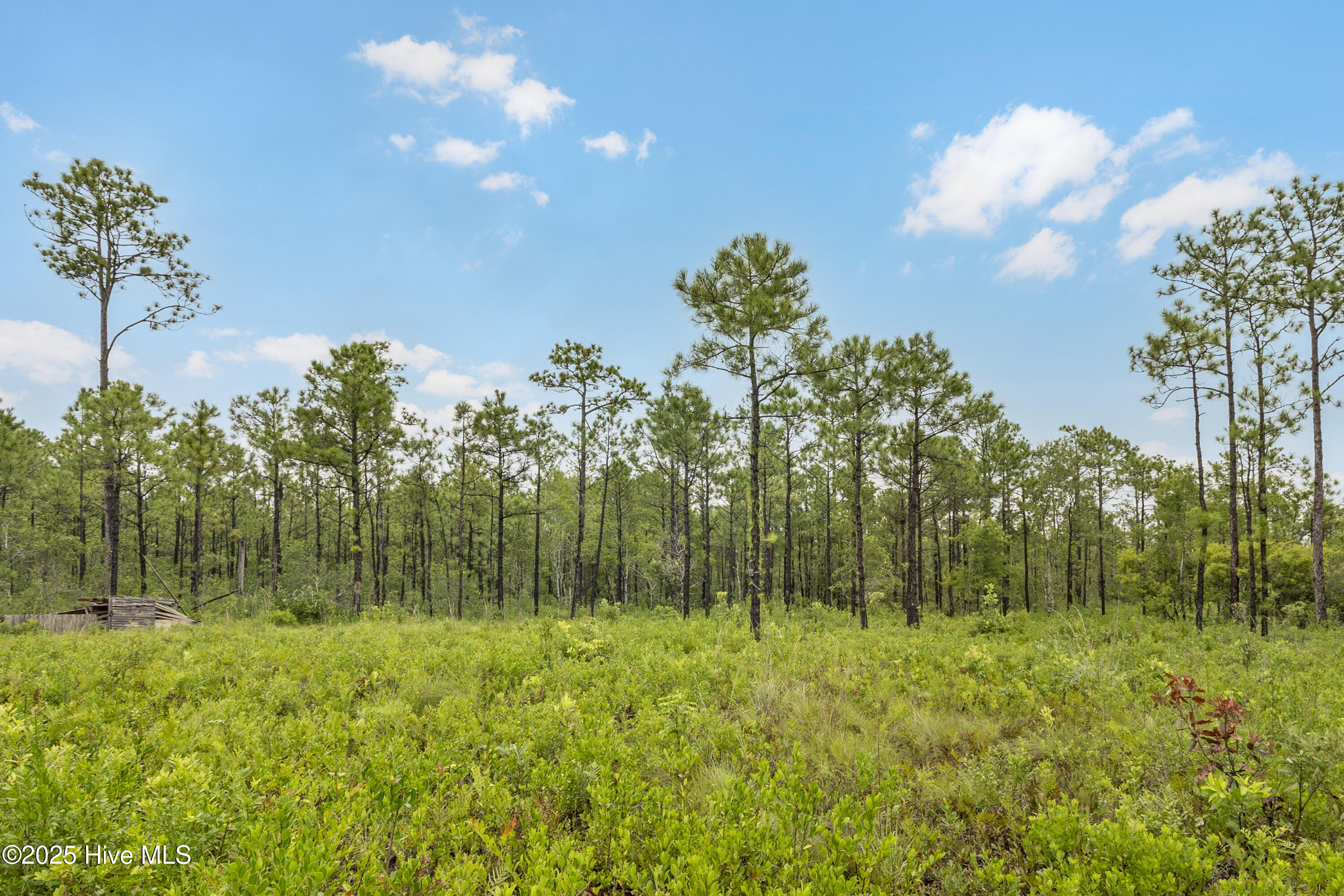 17 Hwy Off Property Photo 1