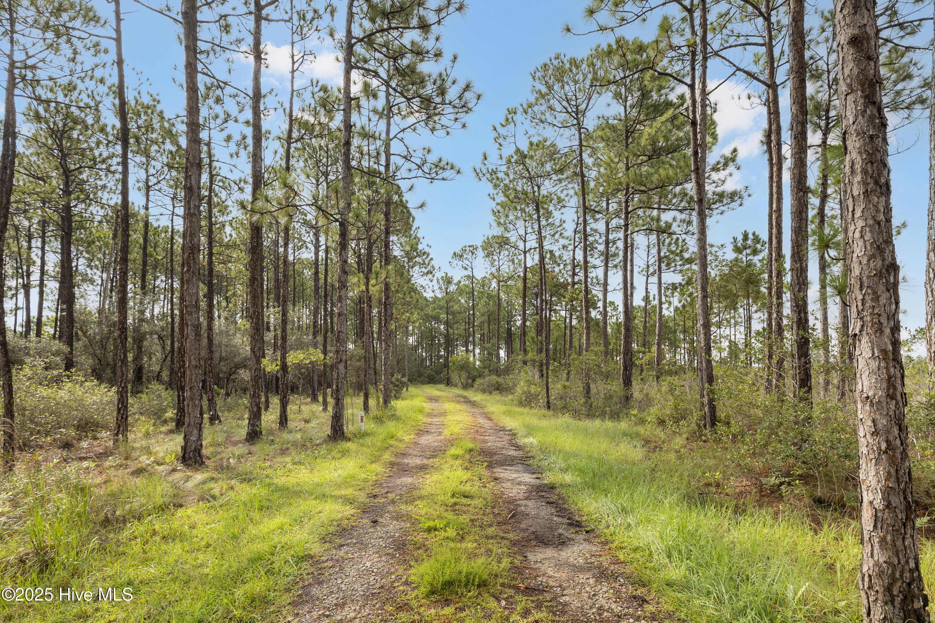 17 Hwy Off Property Photo 2