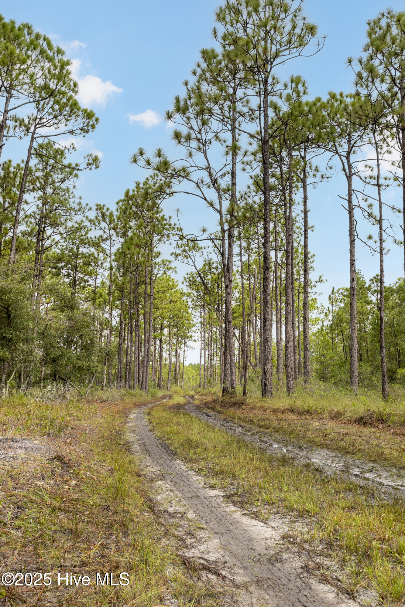 17 Hwy Off Property Photo 3