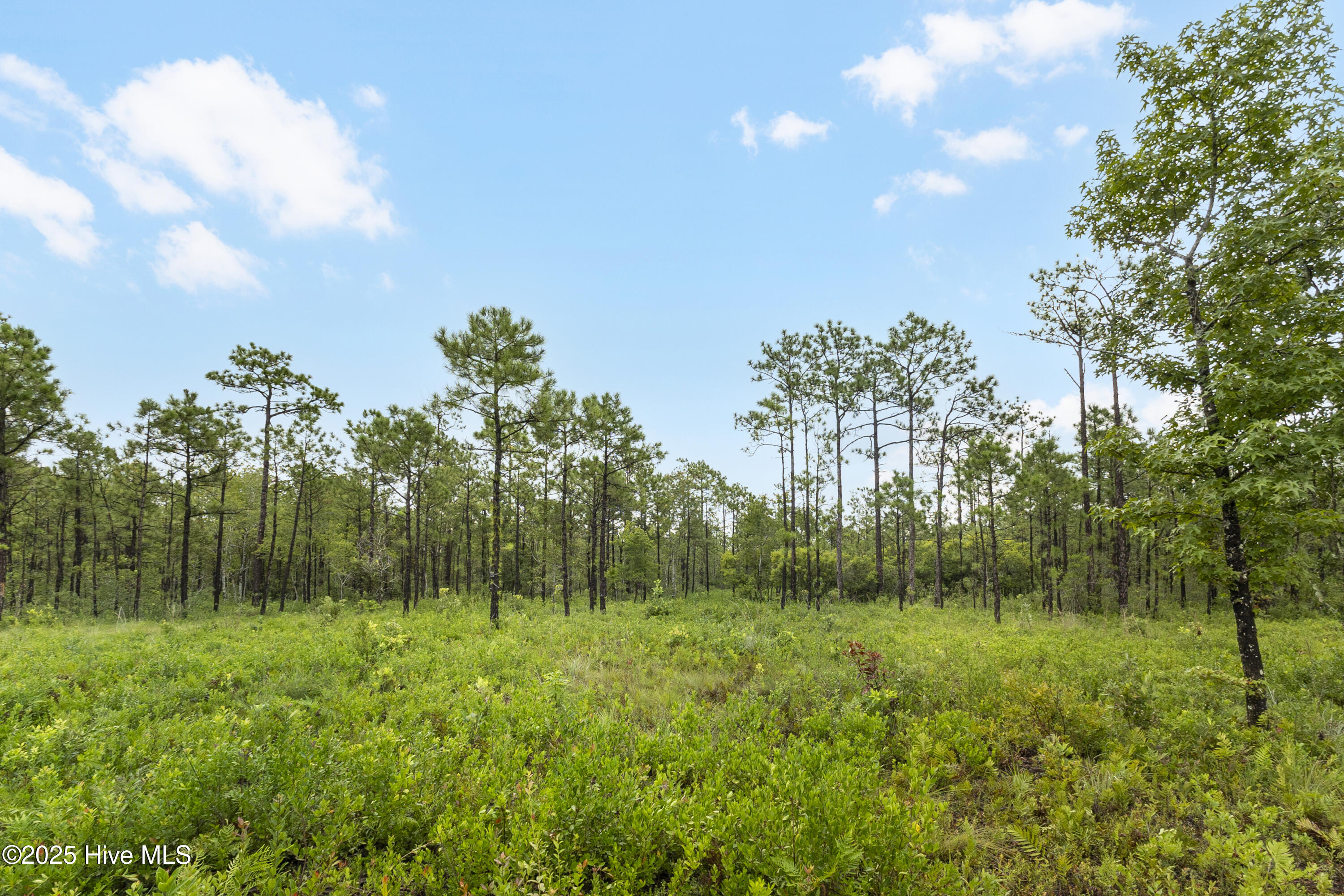 17 Hwy Off Property Photo 4