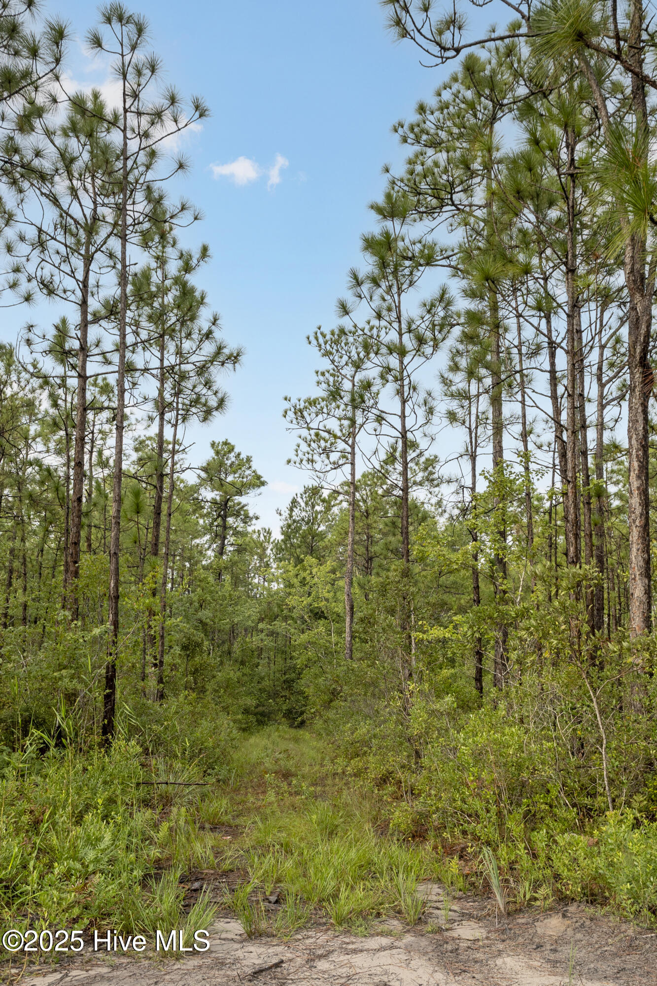 17 Hwy Off Property Photo 6