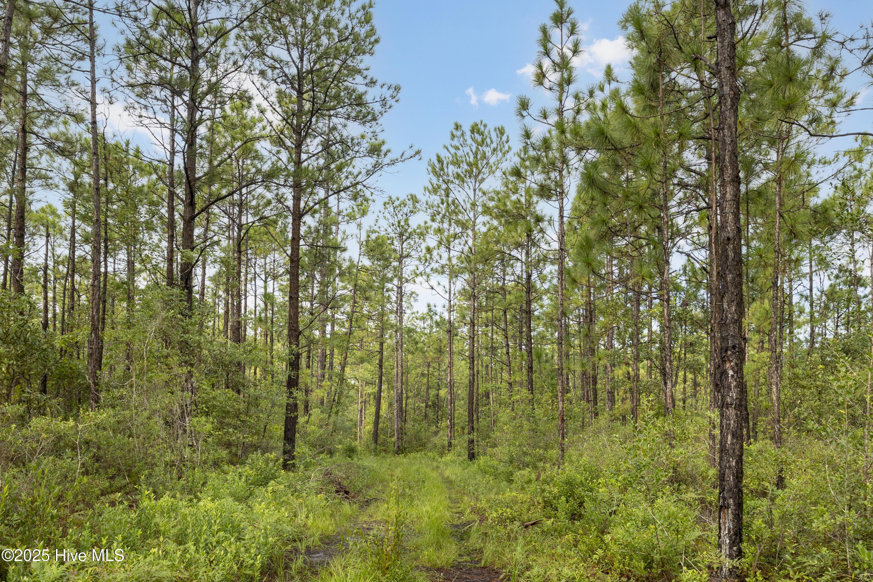 17 Hwy Off Property Photo 7