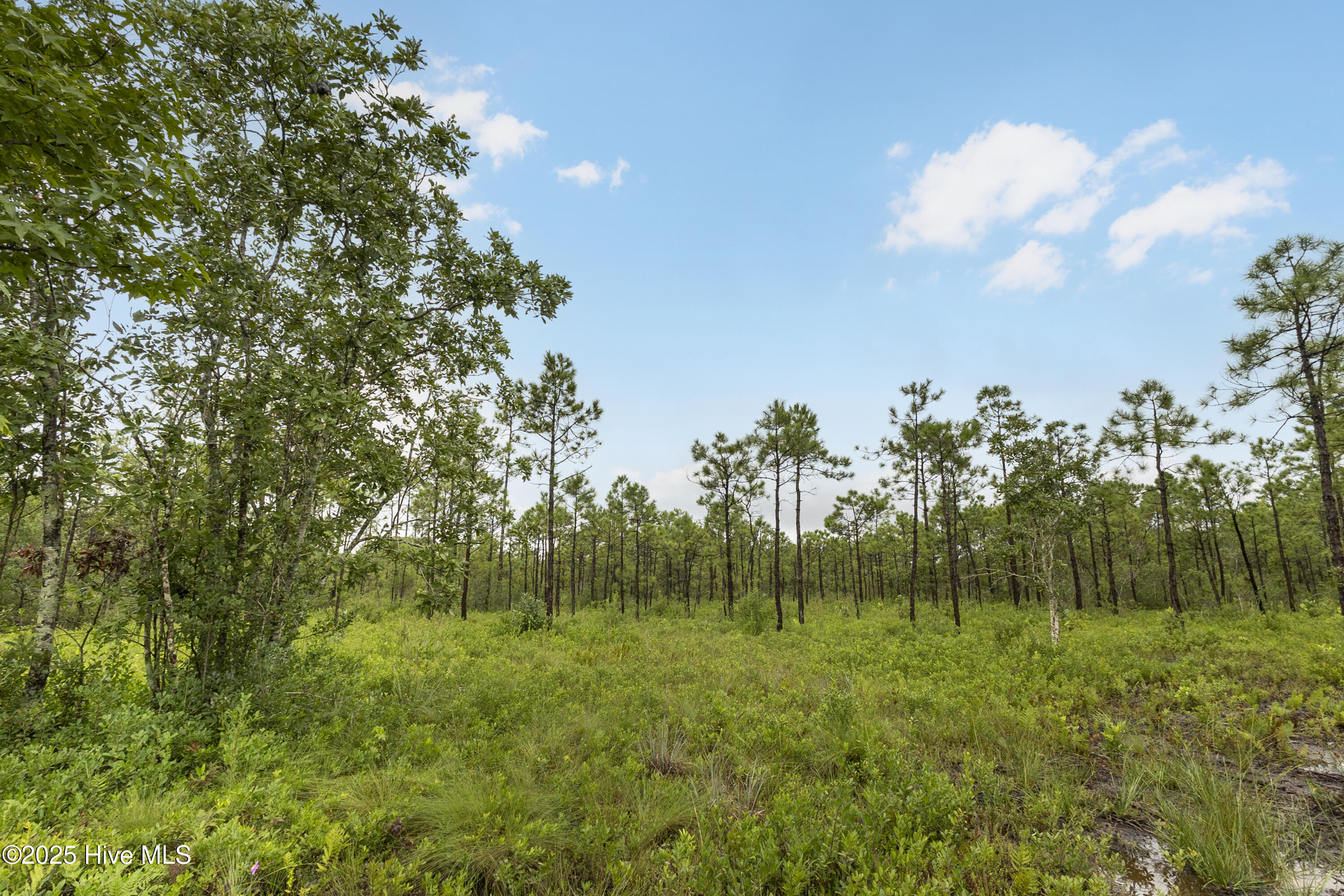 17 Hwy Off Property Photo 8