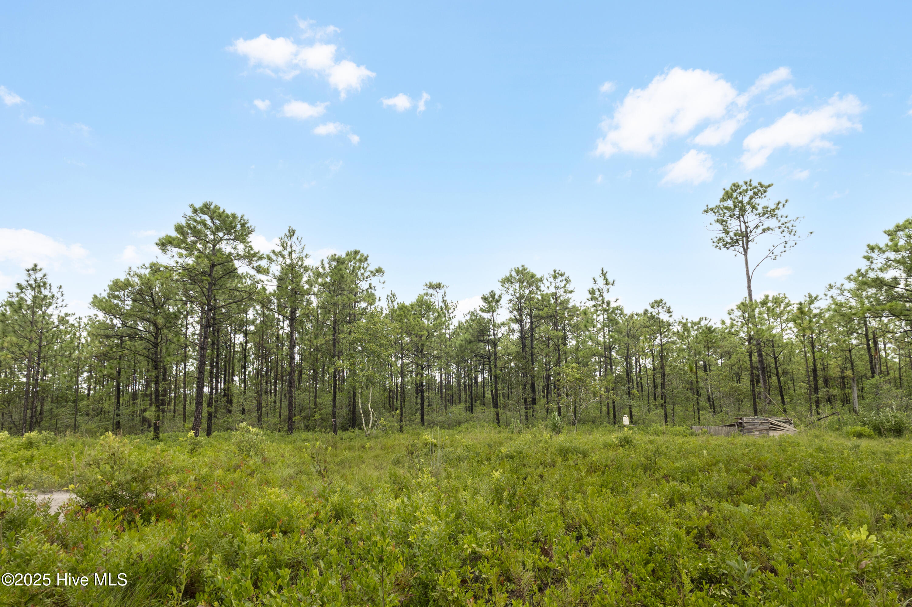 17 Hwy Off Property Photo 9