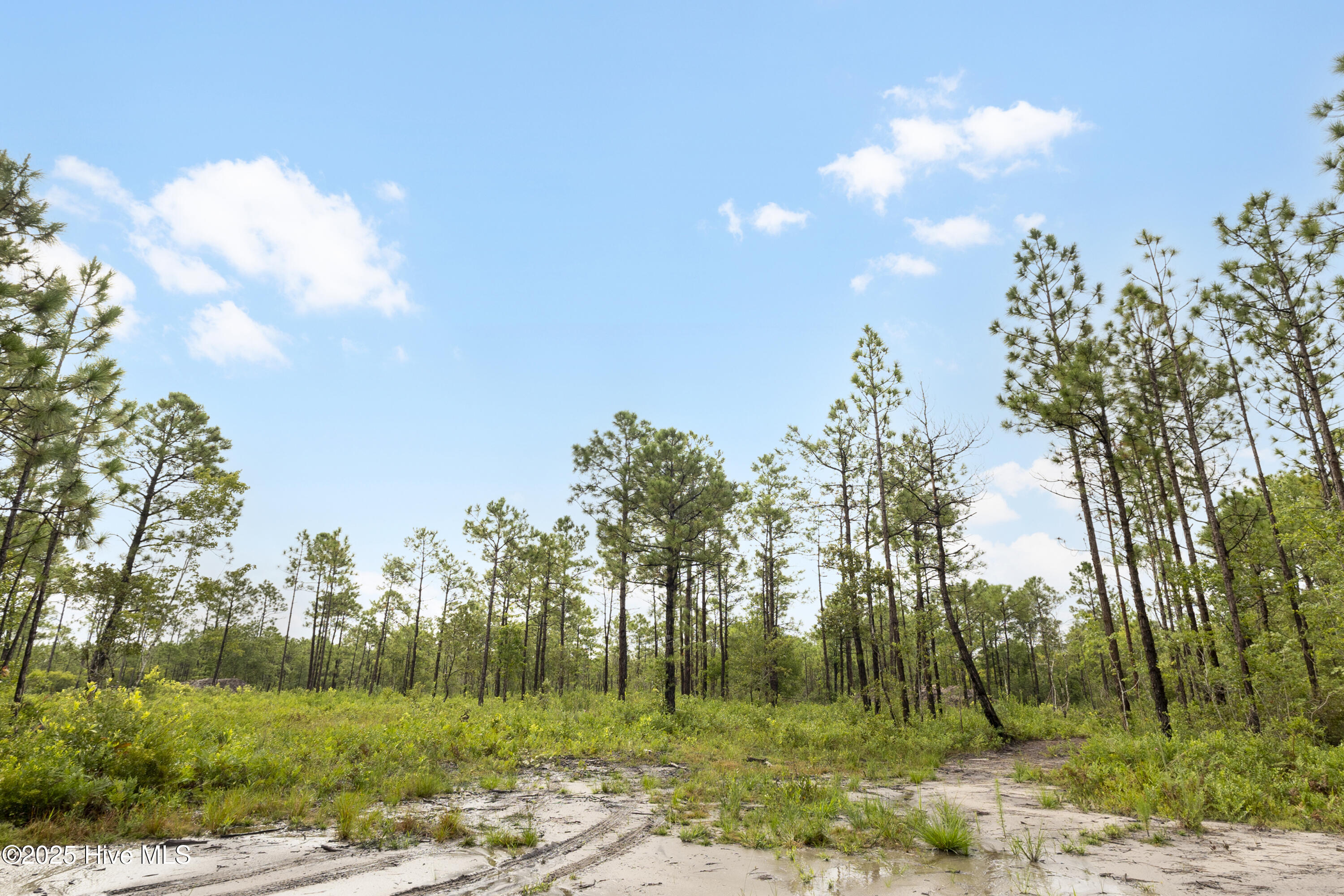 17 Hwy Off Property Photo 10