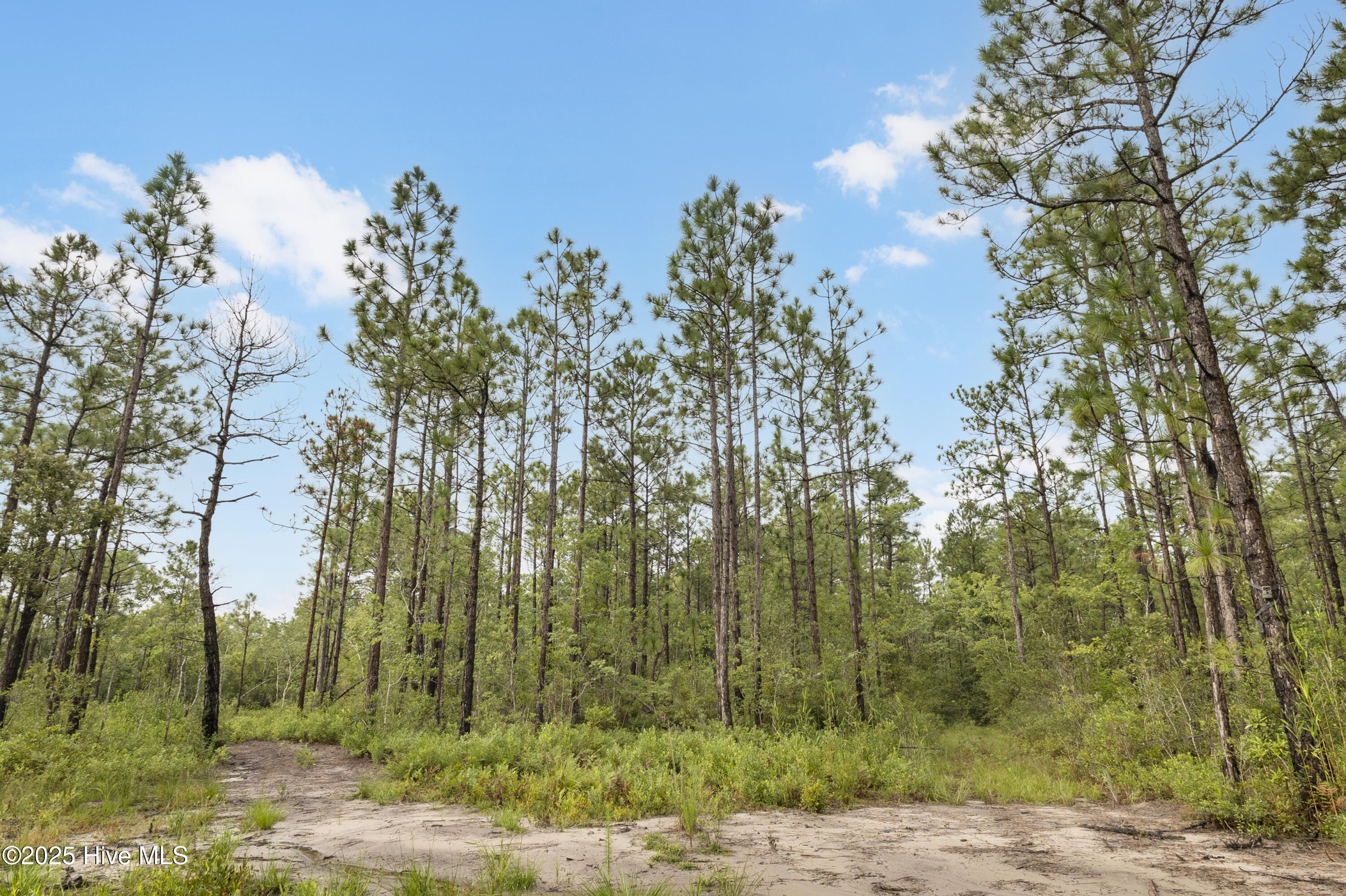 17 Hwy Off Property Photo 11