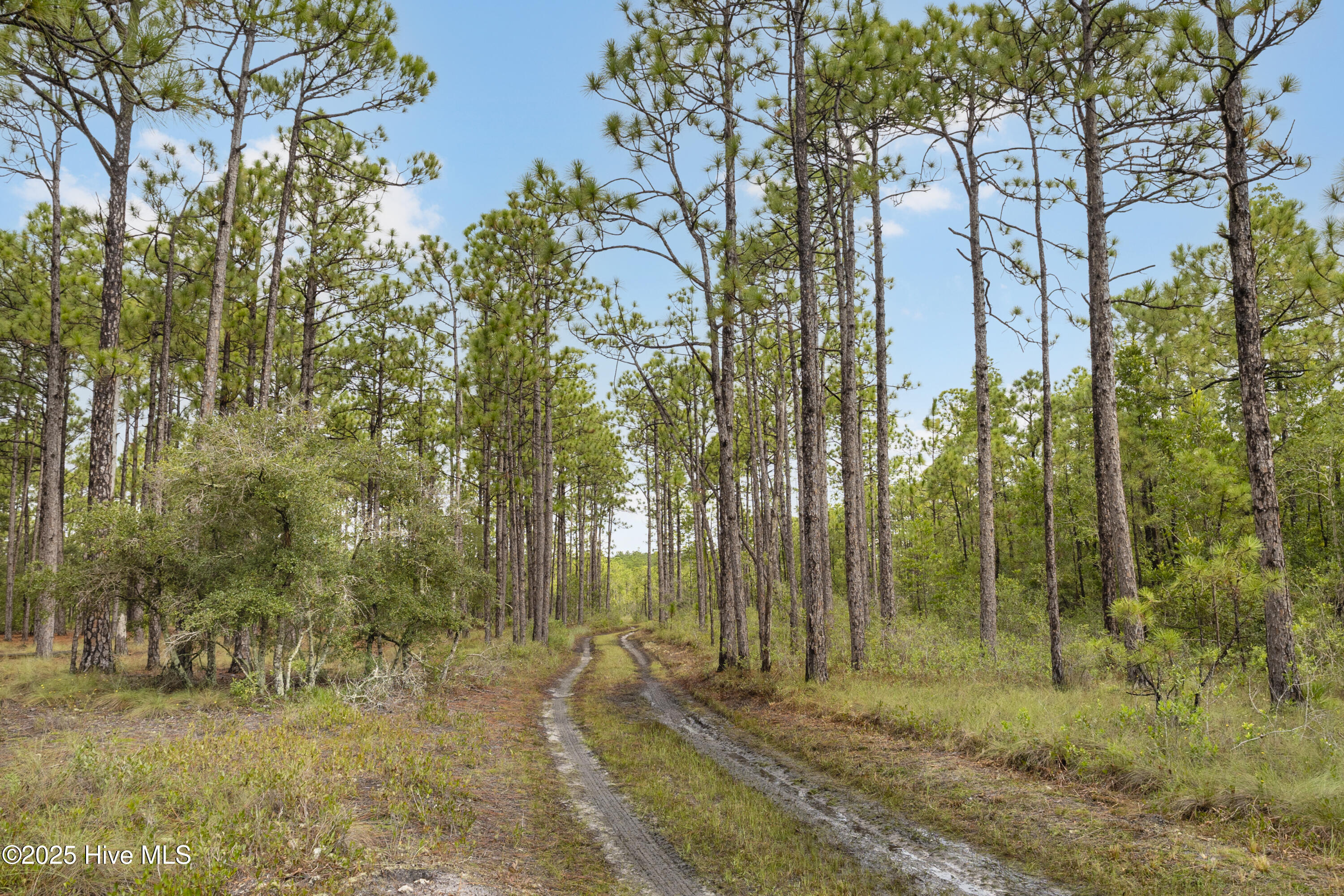 17 Hwy Off Property Photo 12