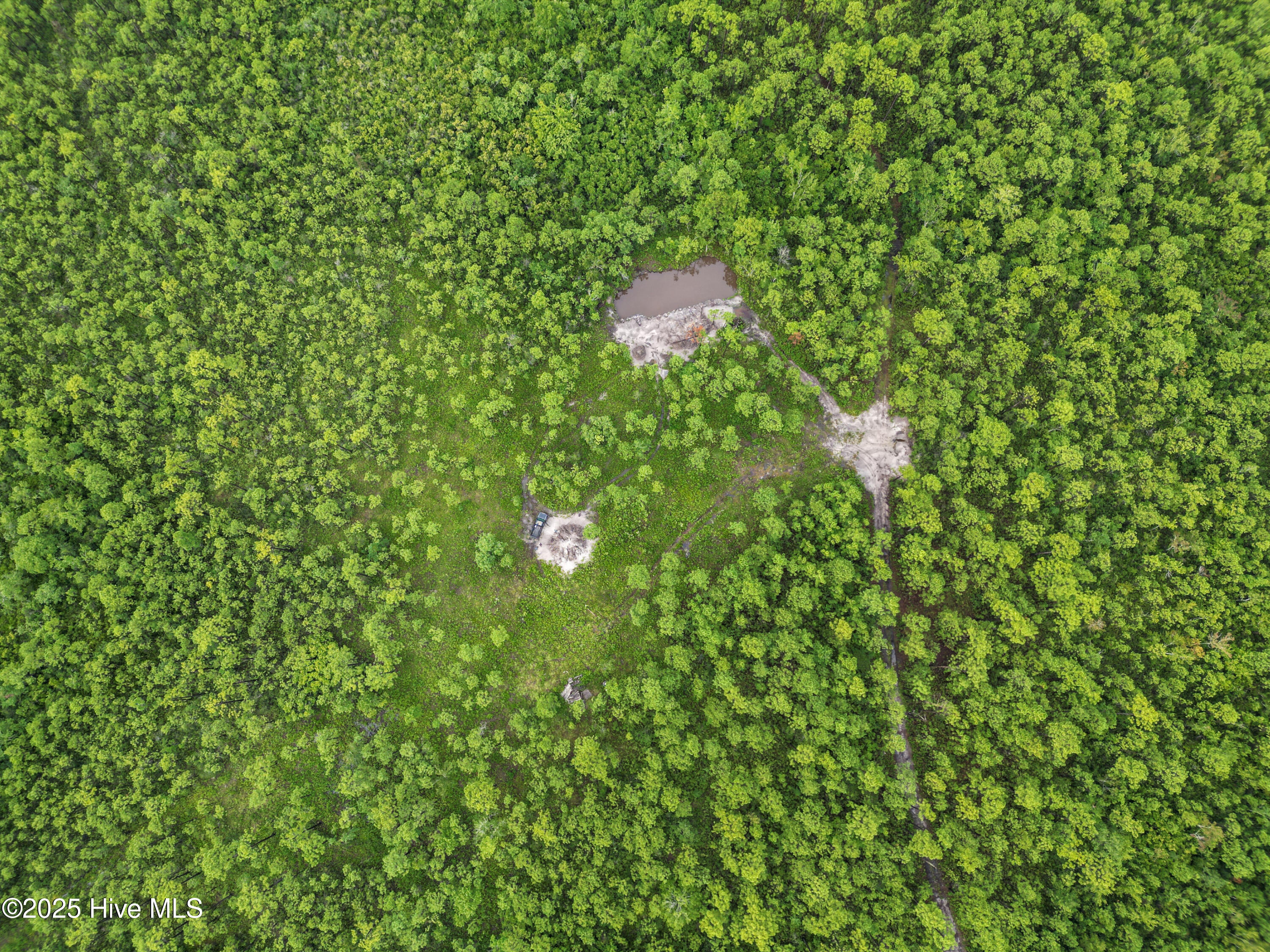 17 Hwy Off Property Photo 13