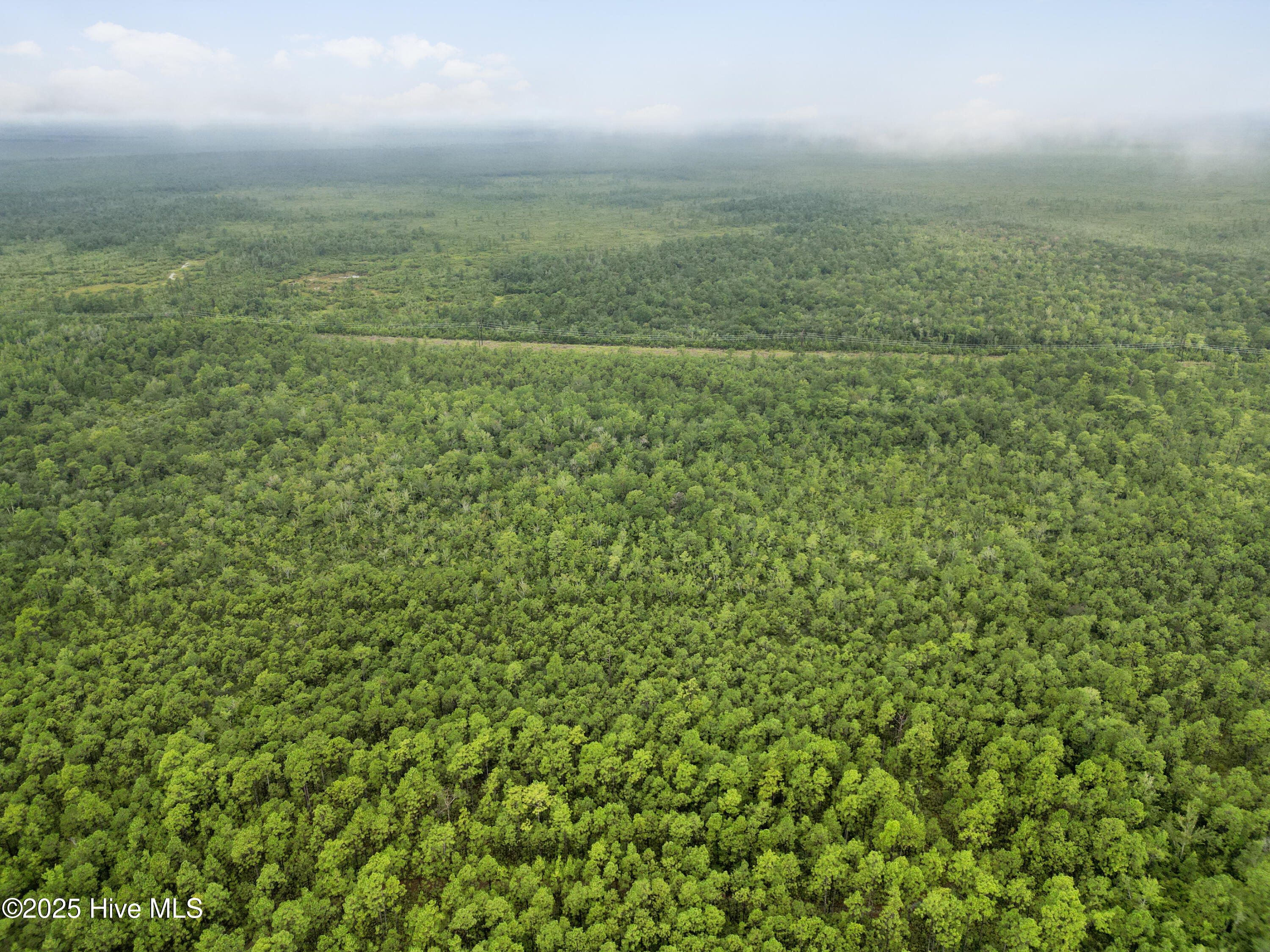 17 Hwy Off Property Photo 17