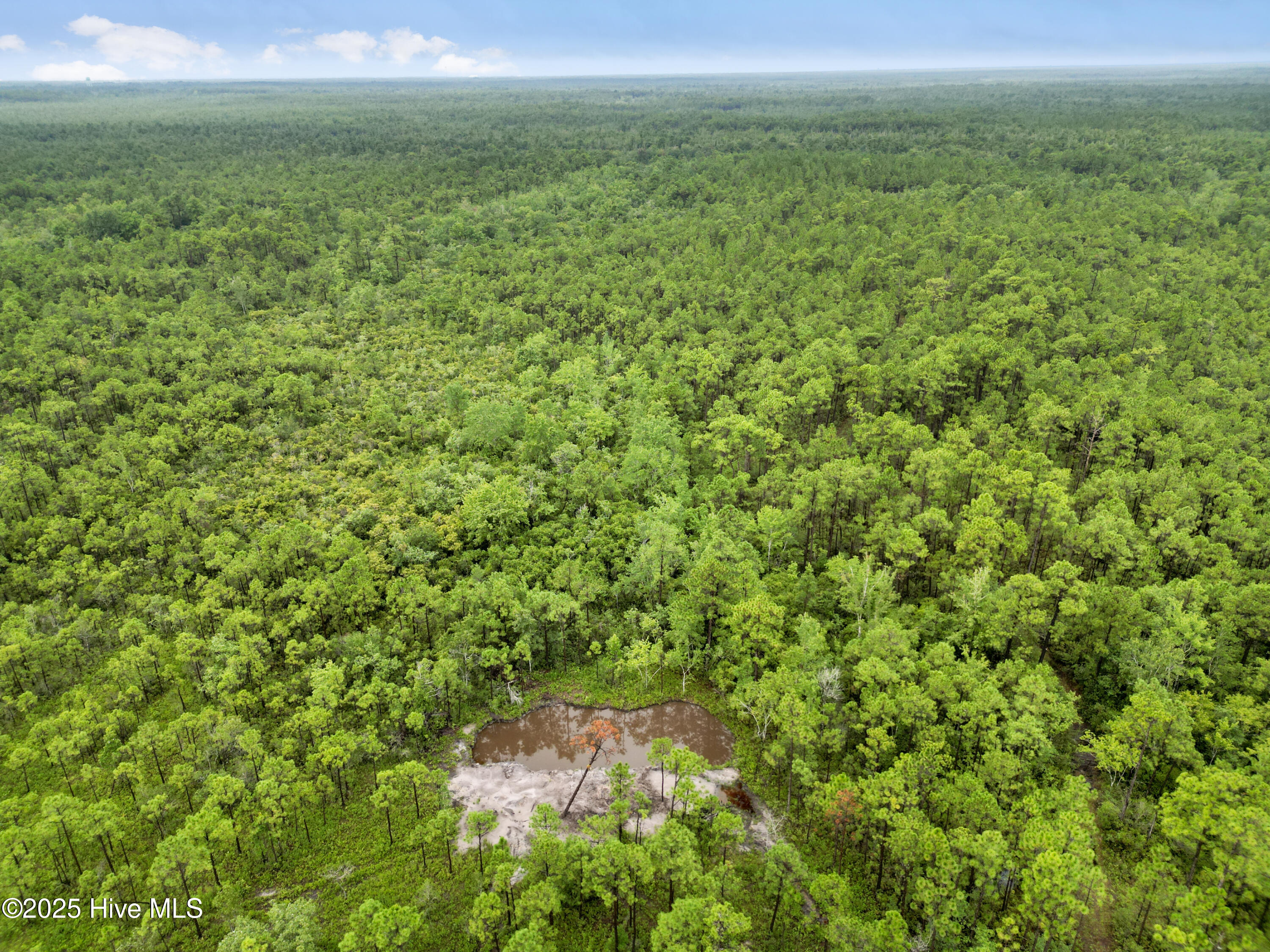 17 Hwy Off Property Photo 23