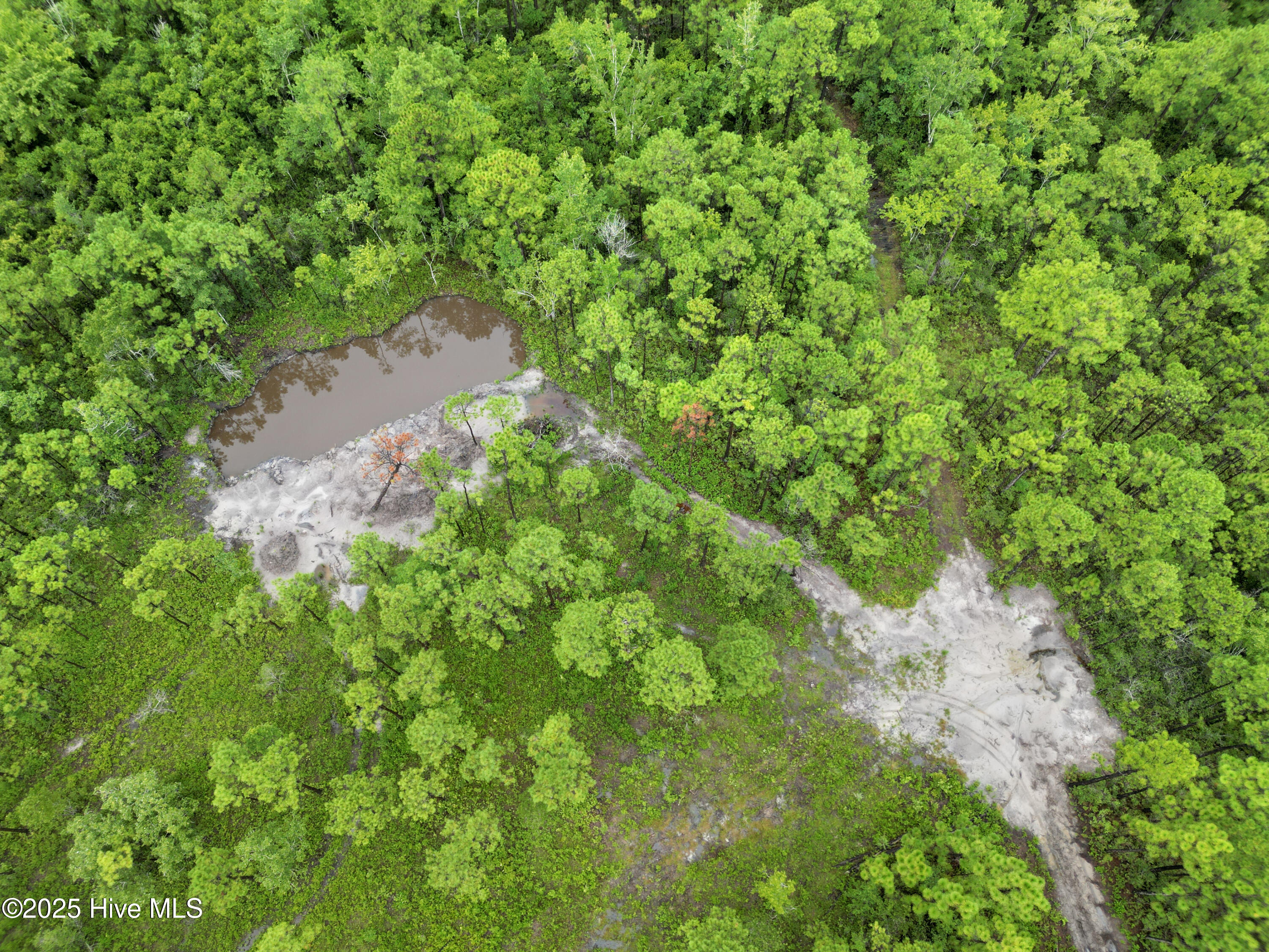 17 Hwy Off Property Photo 24