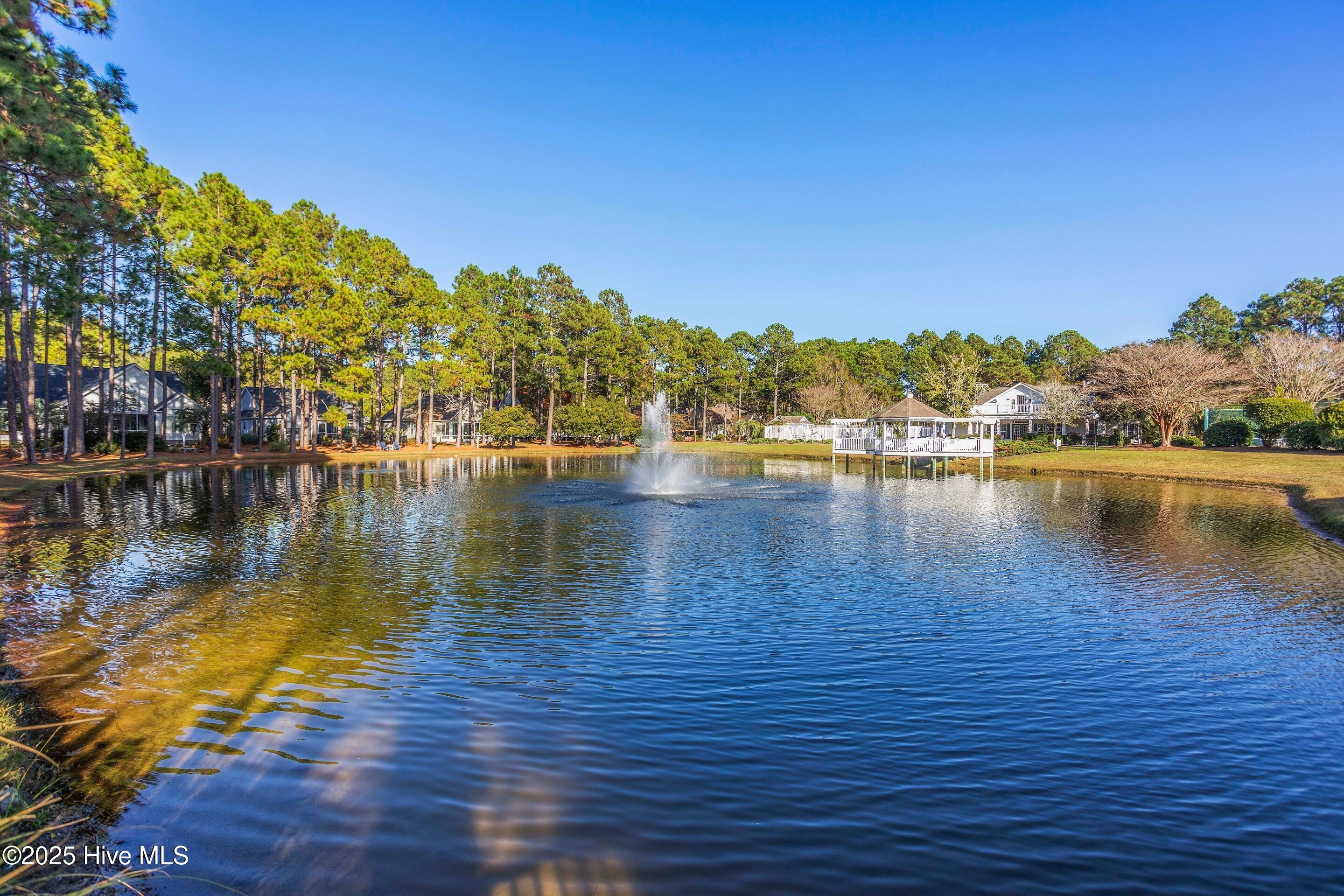 3905 Meeting Place Lane Property Photo 70