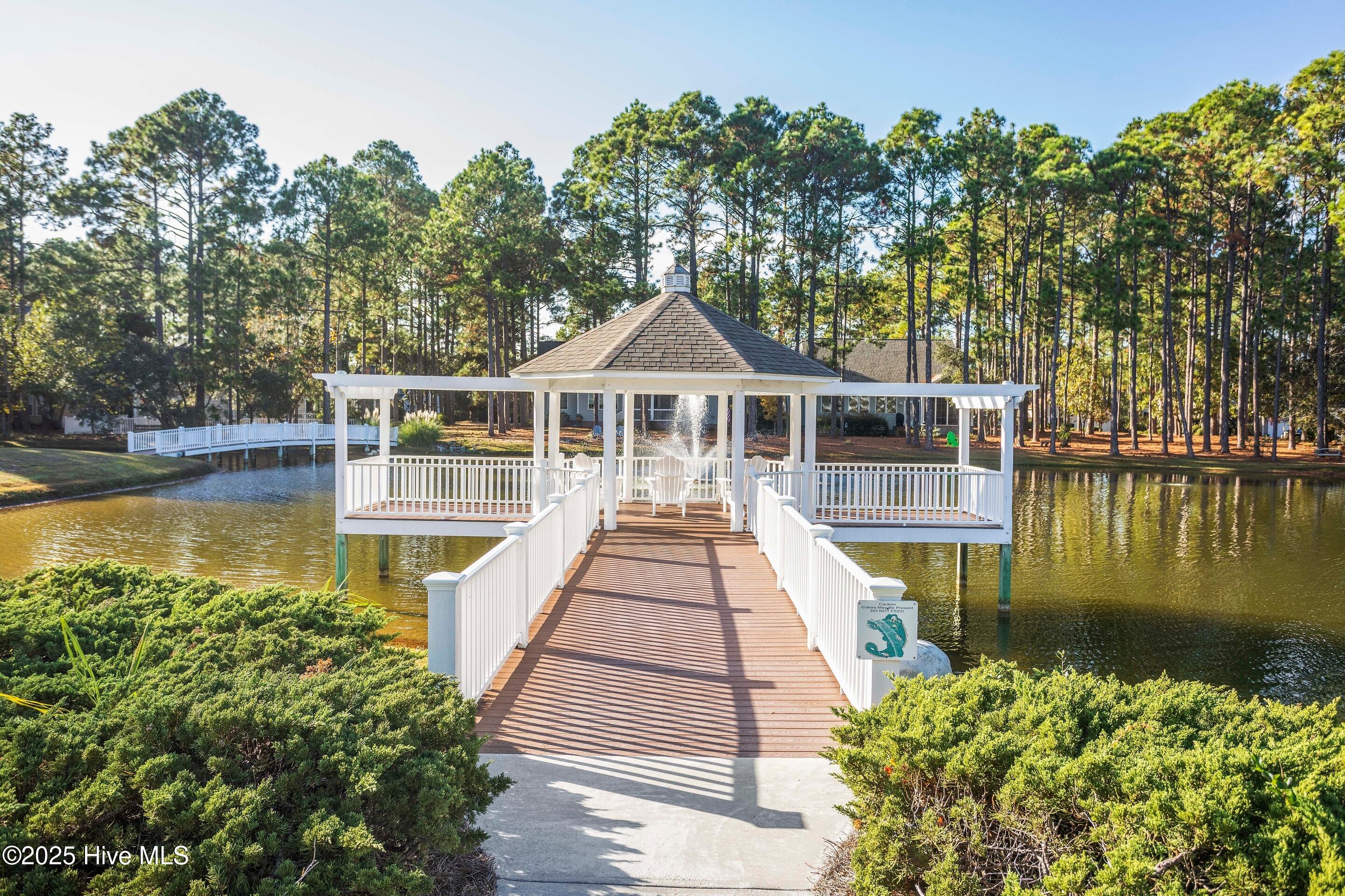 3905 Meeting Place Lane Property Photo 72