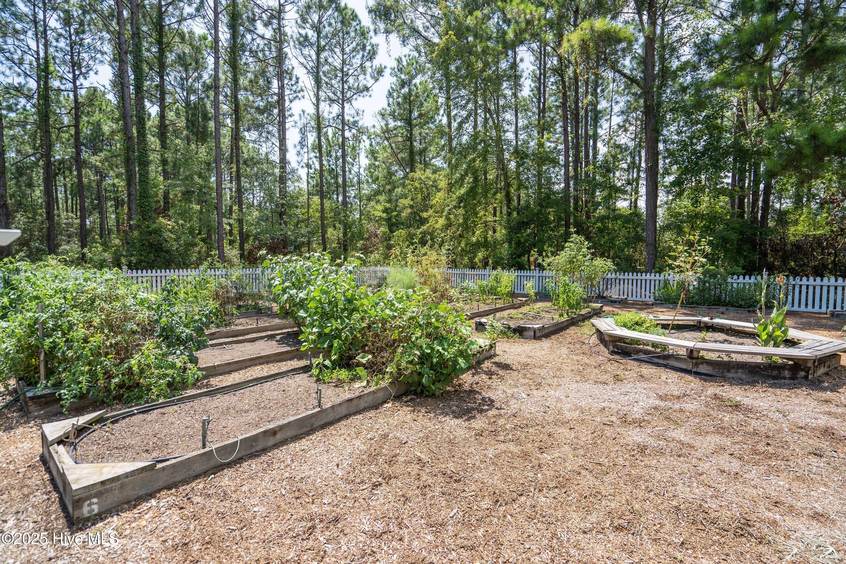 3905 Meeting Place Lane Property Photo 73