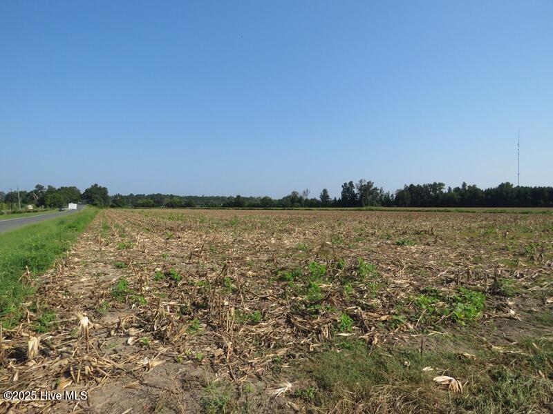 Tbd Old Johns Road Property Photo 19