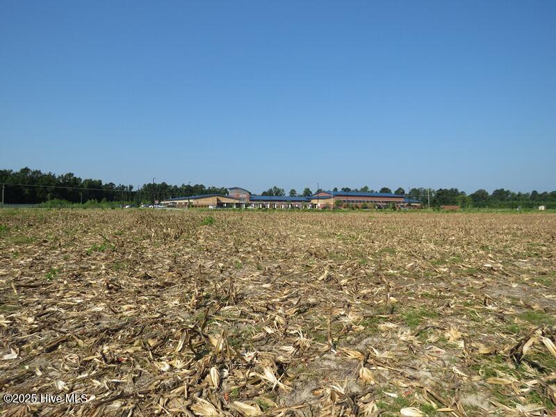 Tbd Old Johns Road Property Photo 20