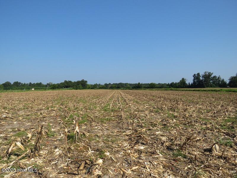 Tbd Old Johns Road Property Photo 21