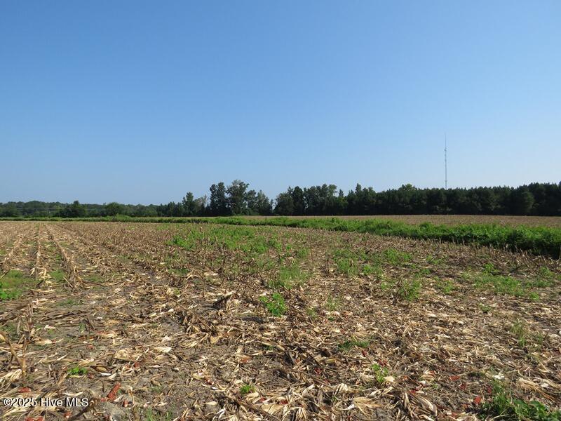 Tbd Old Johns Road Property Photo 22