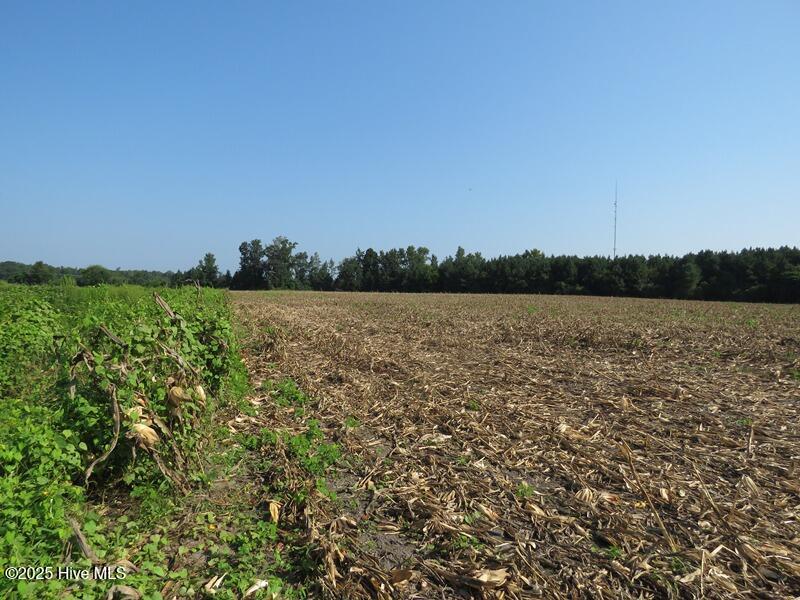 Tbd Old Johns Road Property Photo 23