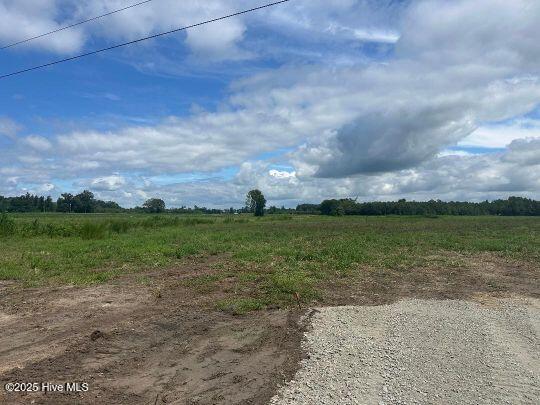 1060 Gum Swamp Church Road Property Photo 1