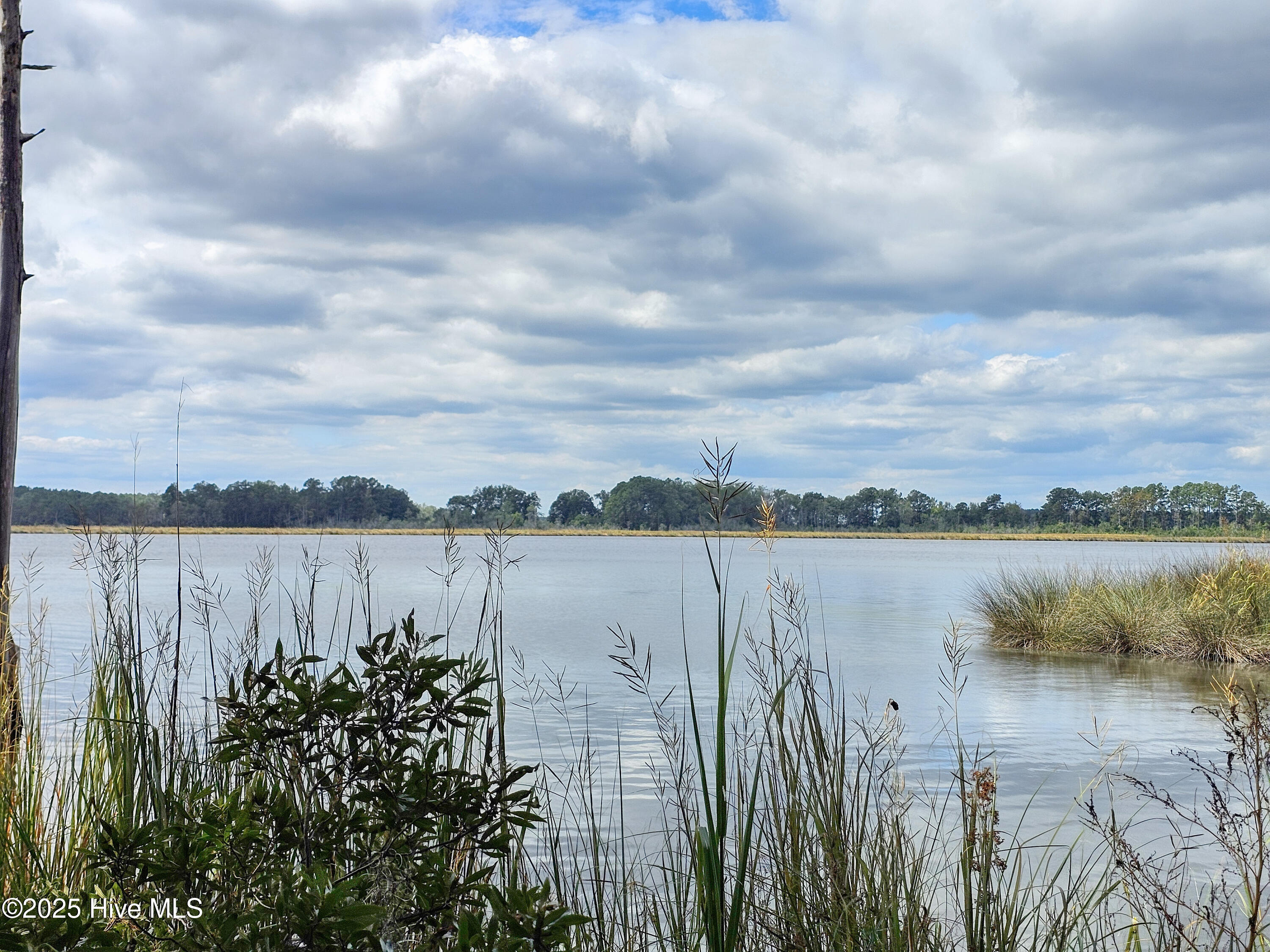 Lot 42 Winfield Lane Property Photo 1