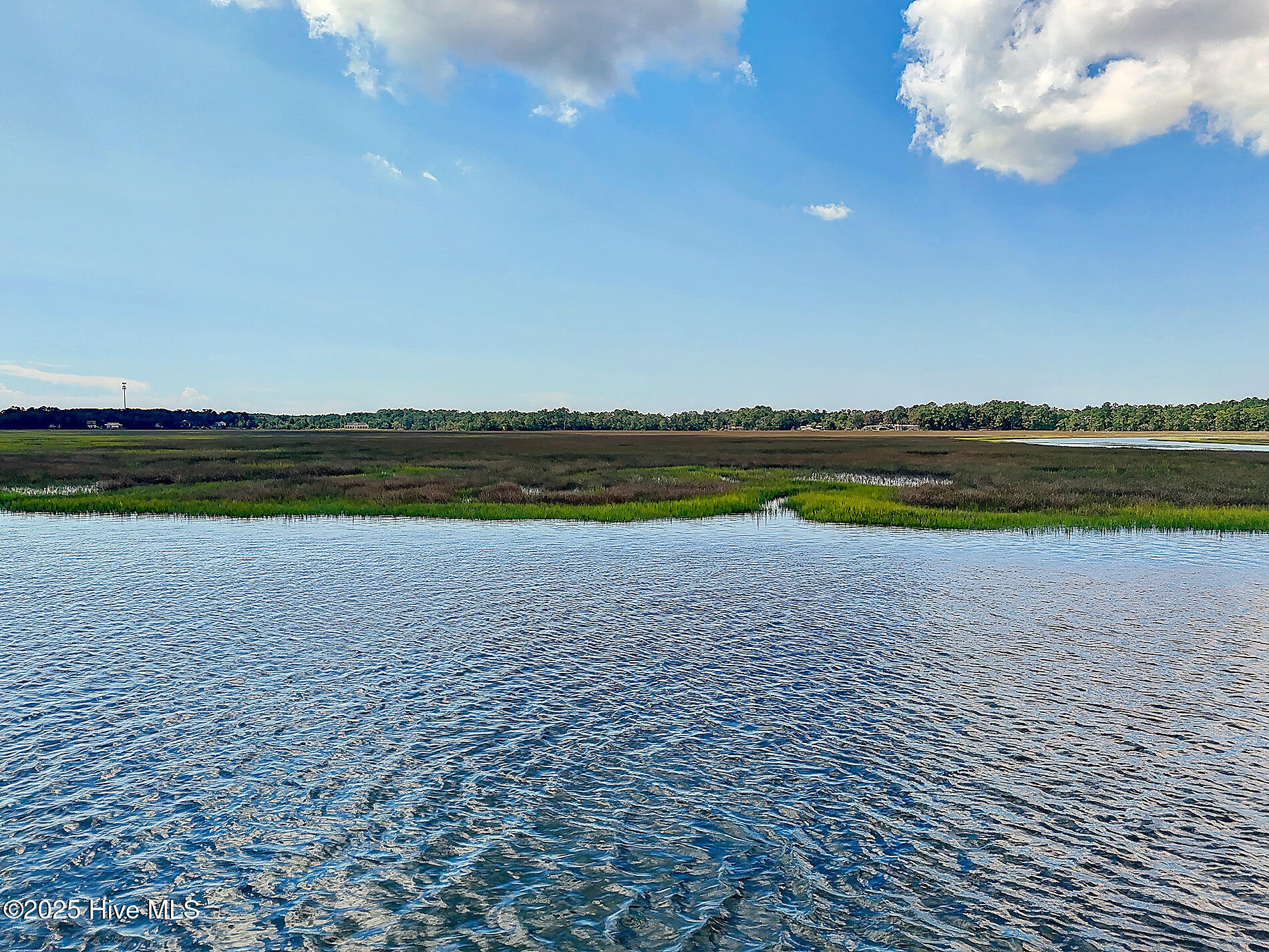 464 Herring Gull Court Property Photo 16