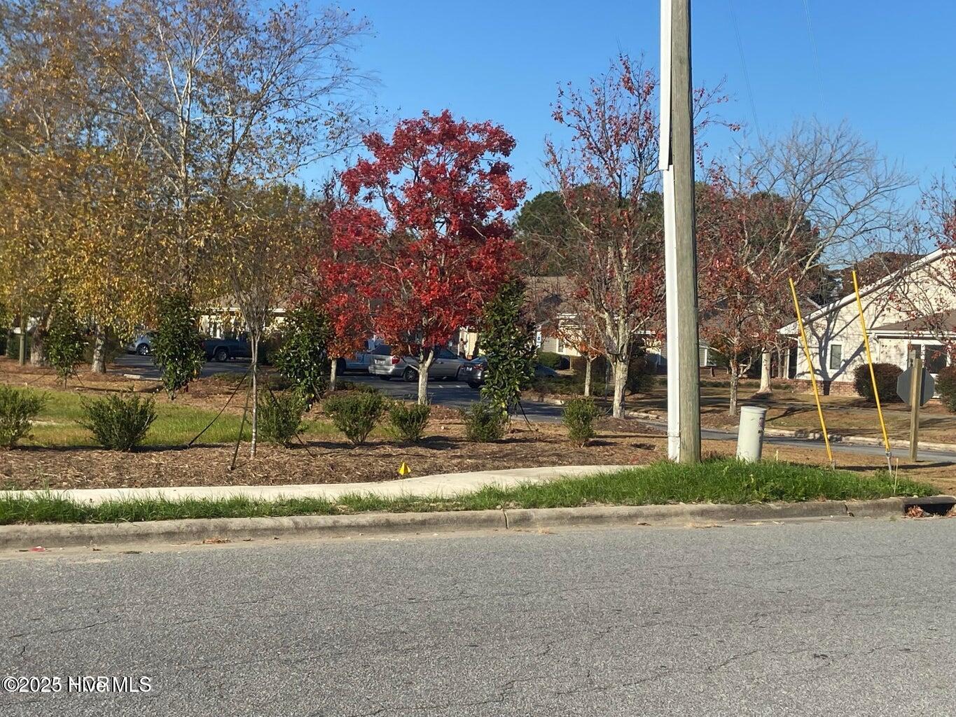 0 Brown Street Property Photo 2