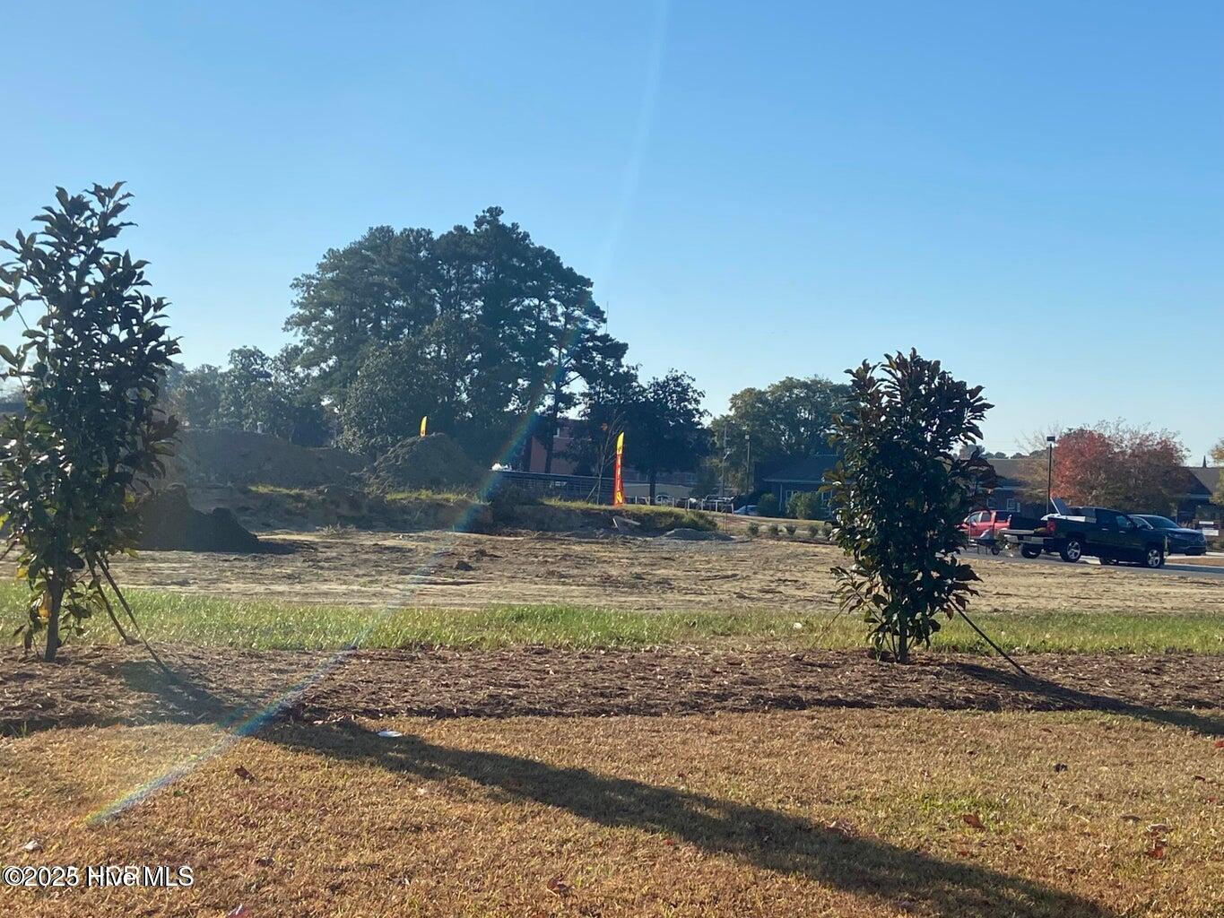 0 Brown Street Property Photo 3