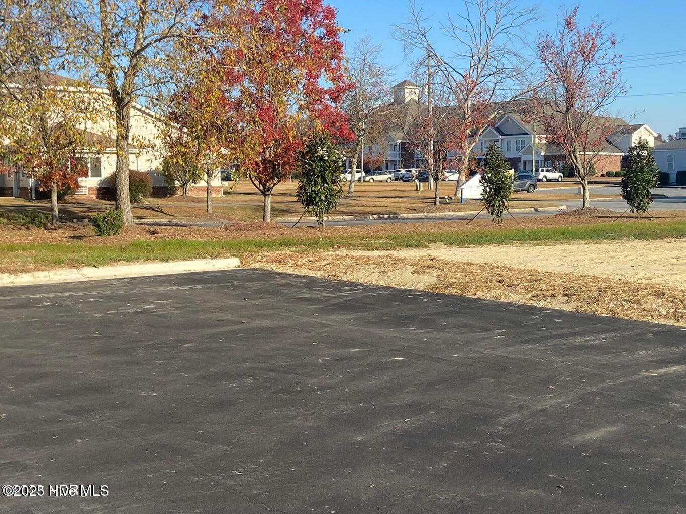 0 Brown Street Property Photo 5