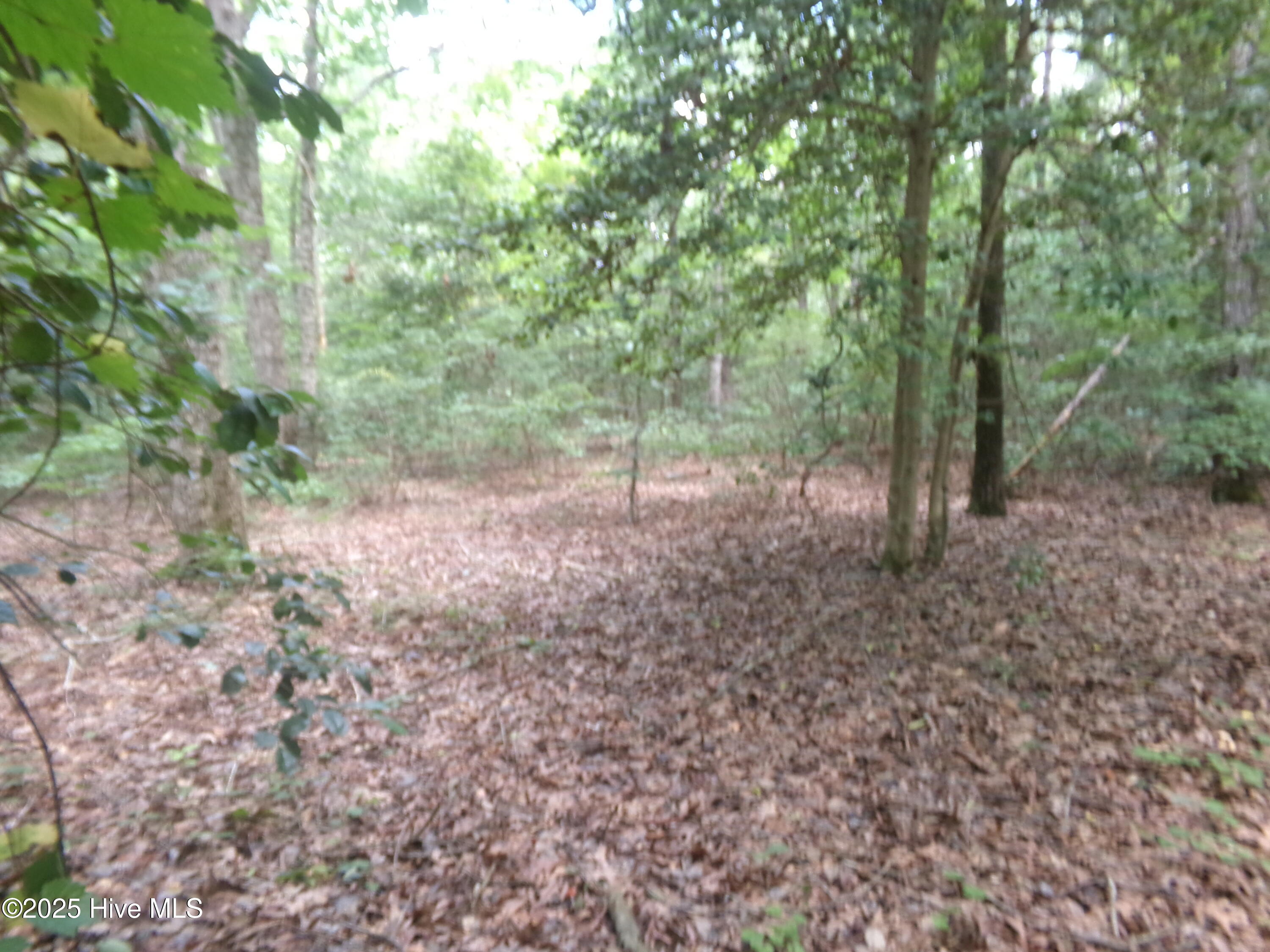 Lot 37 Plantation Road Property Photo 2