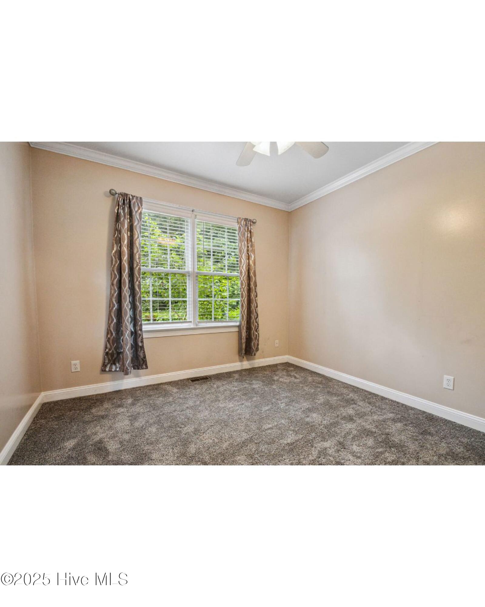 226 Fletcher Ridge Road Property Photo 17