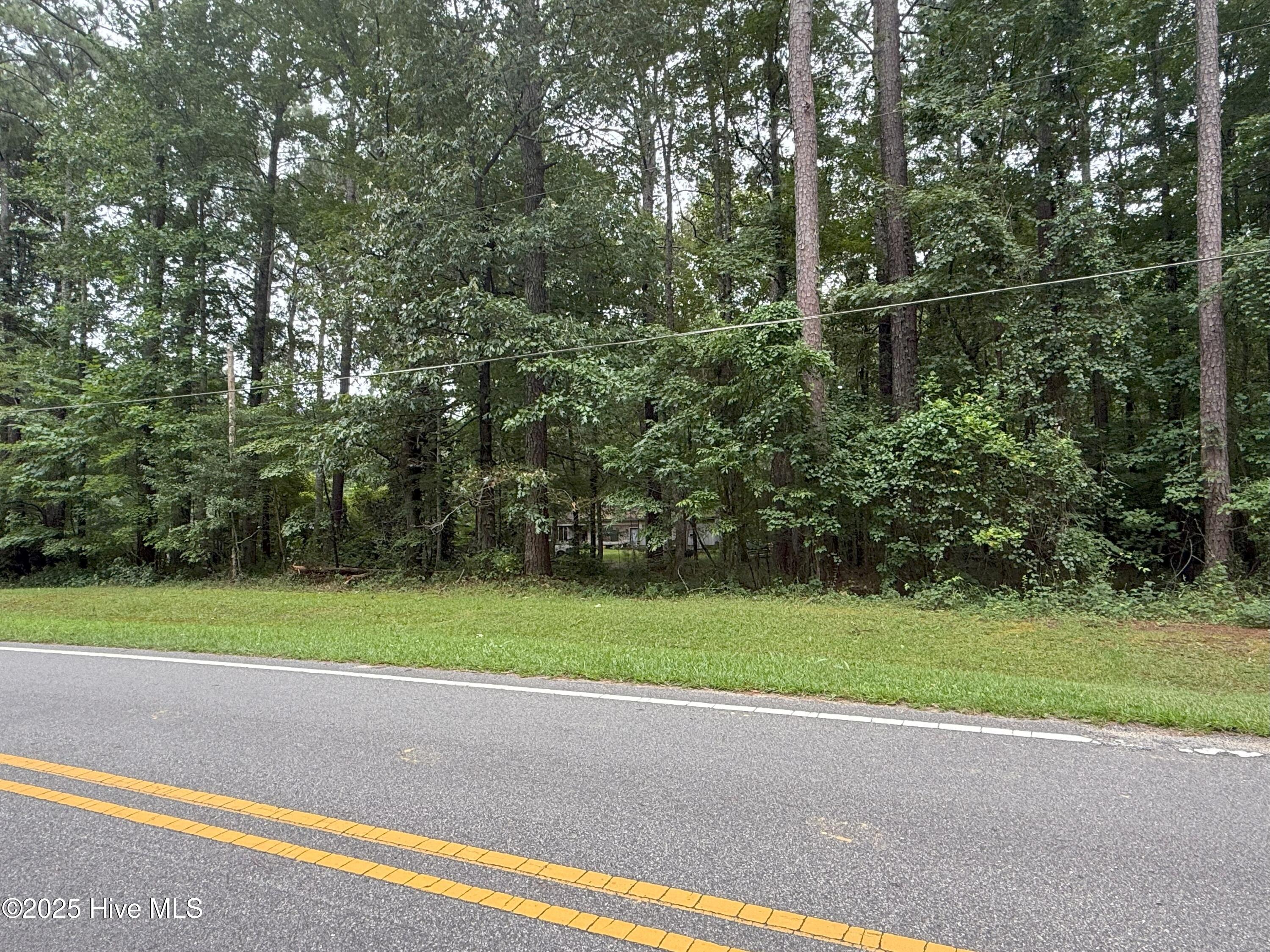 Lot #5 Roxie Reese Road Property Photo 3