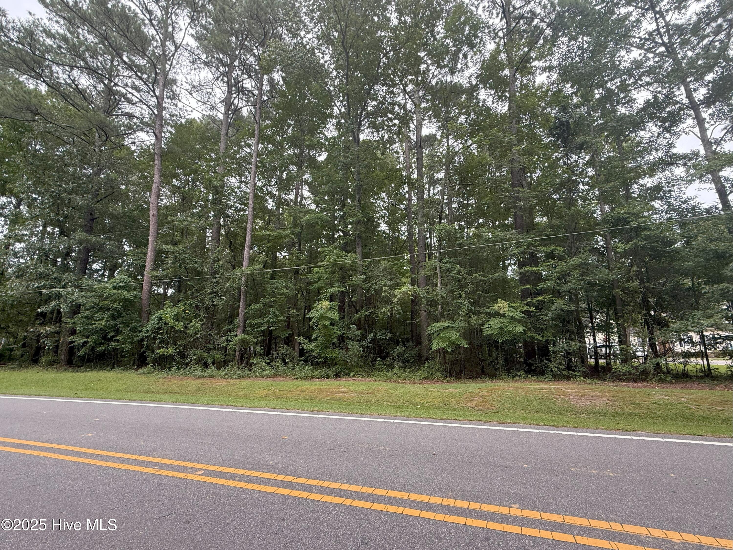 Lot #5 Roxie Reese Road Property Photo 4