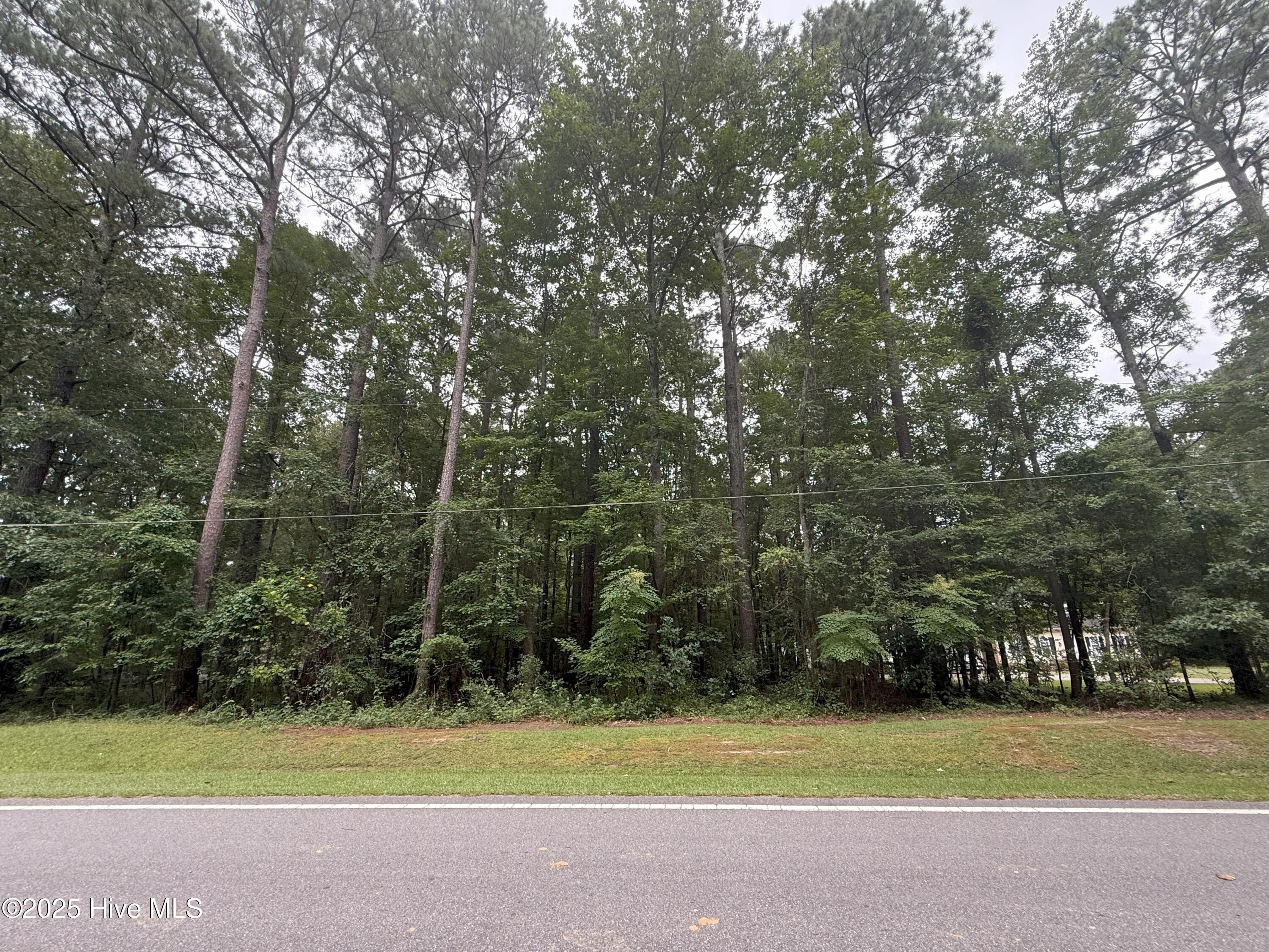 Lot #5 Roxie Reese Road Property Photo 5