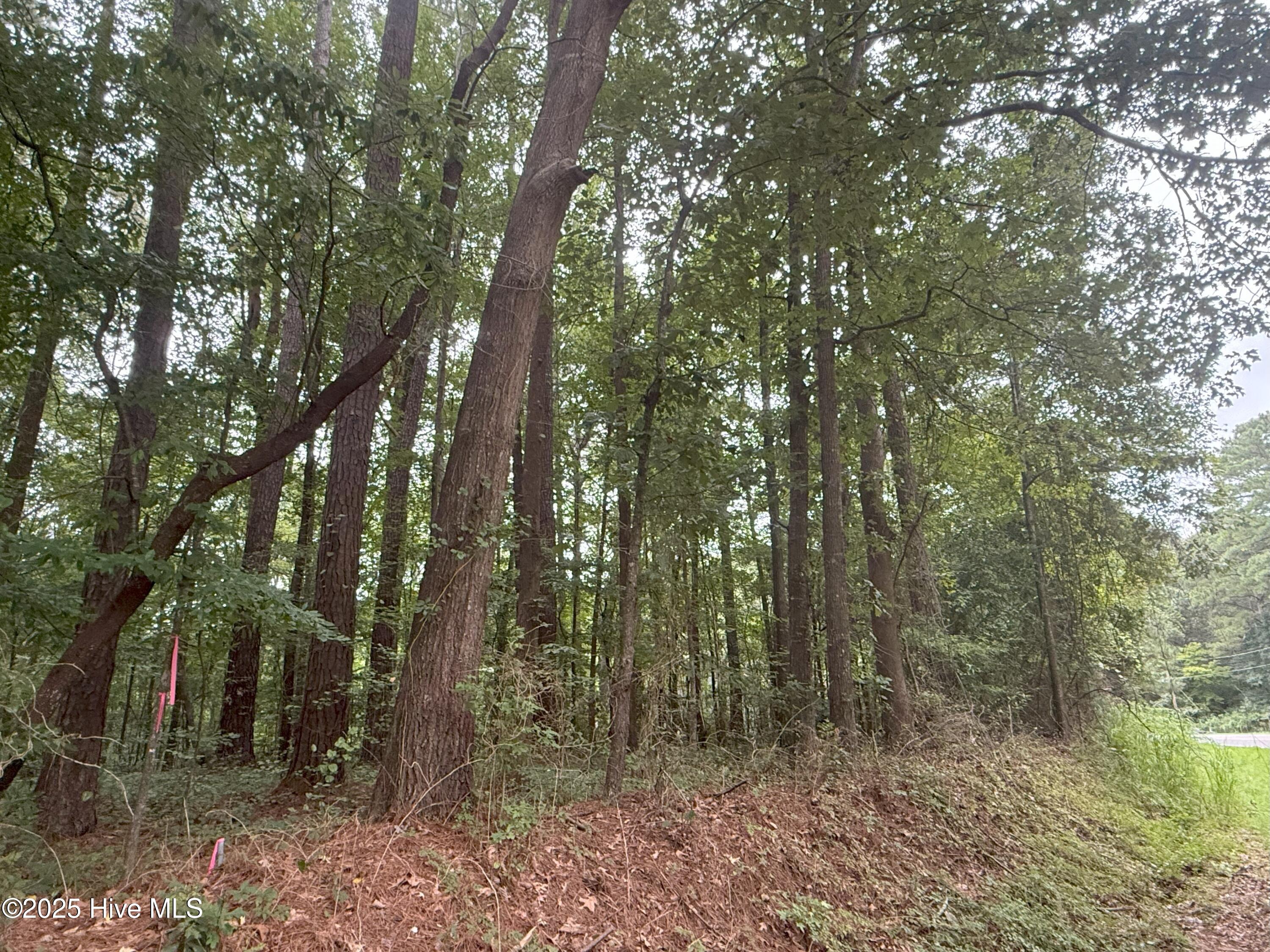 Lot #5 Roxie Reese Road Property Photo 6