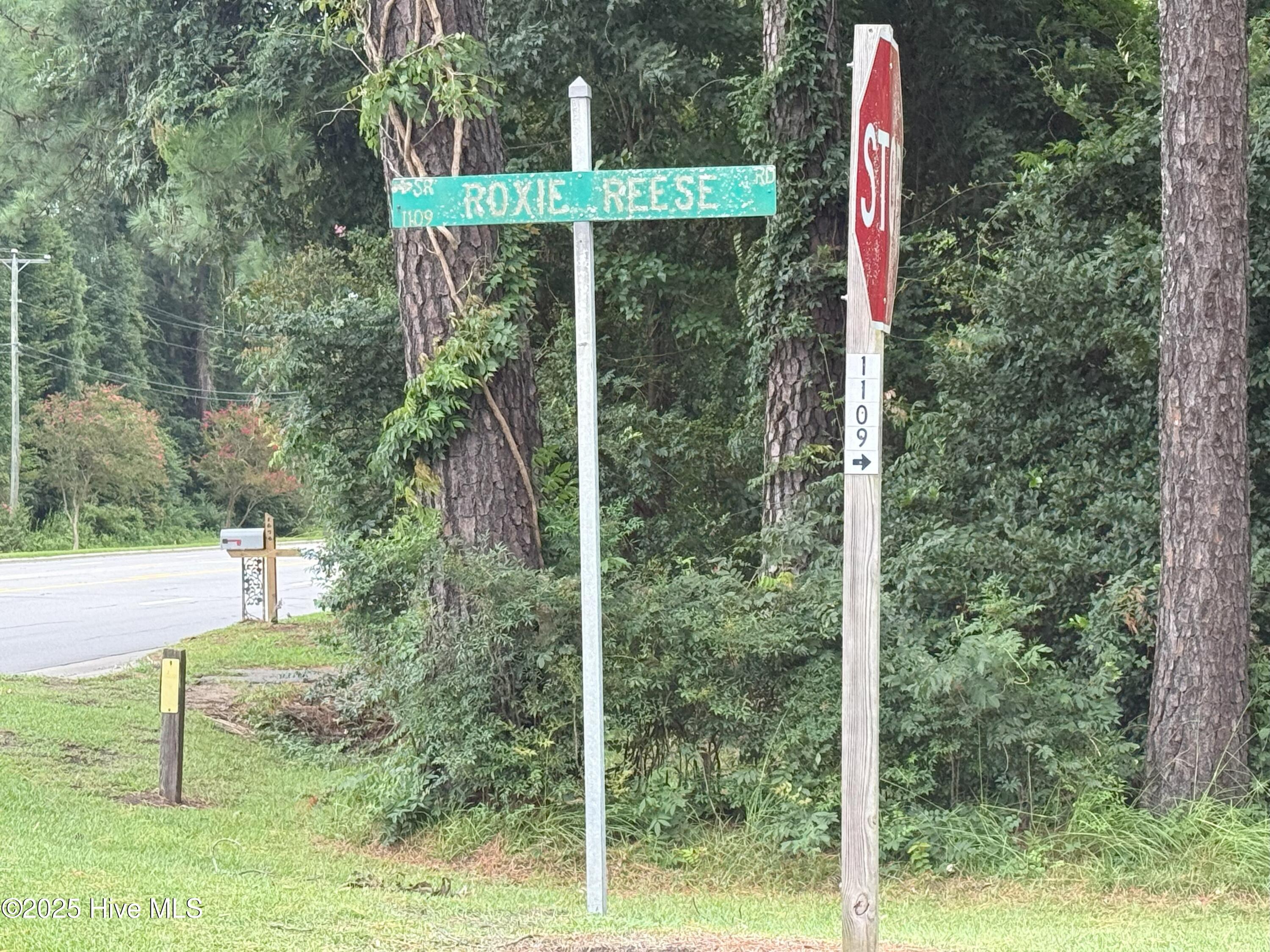 Lot #5 Roxie Reese Road Property Photo 9