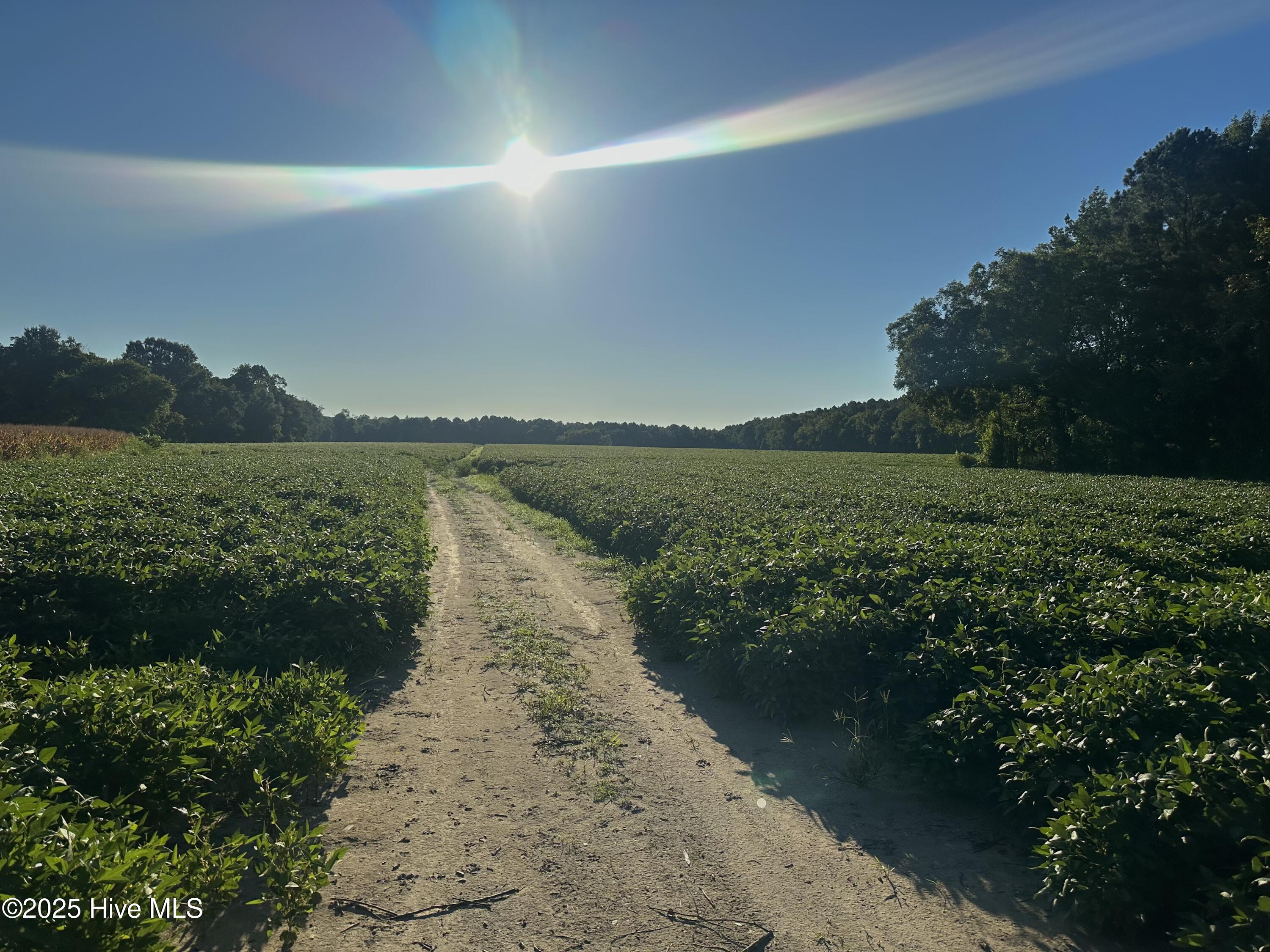 5355 Creech Road Property Photo 1