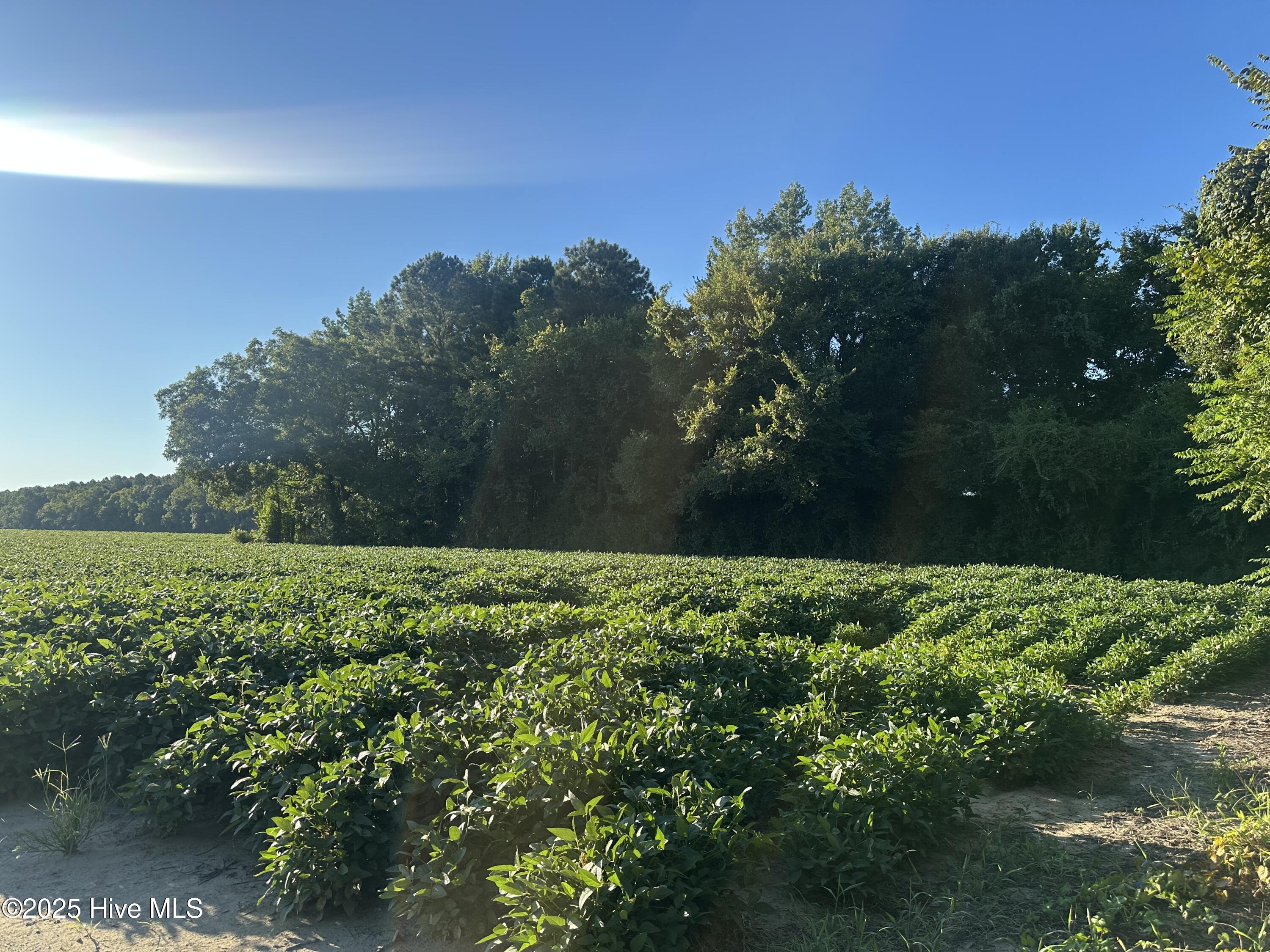 5355 Creech Road Property Photo 2