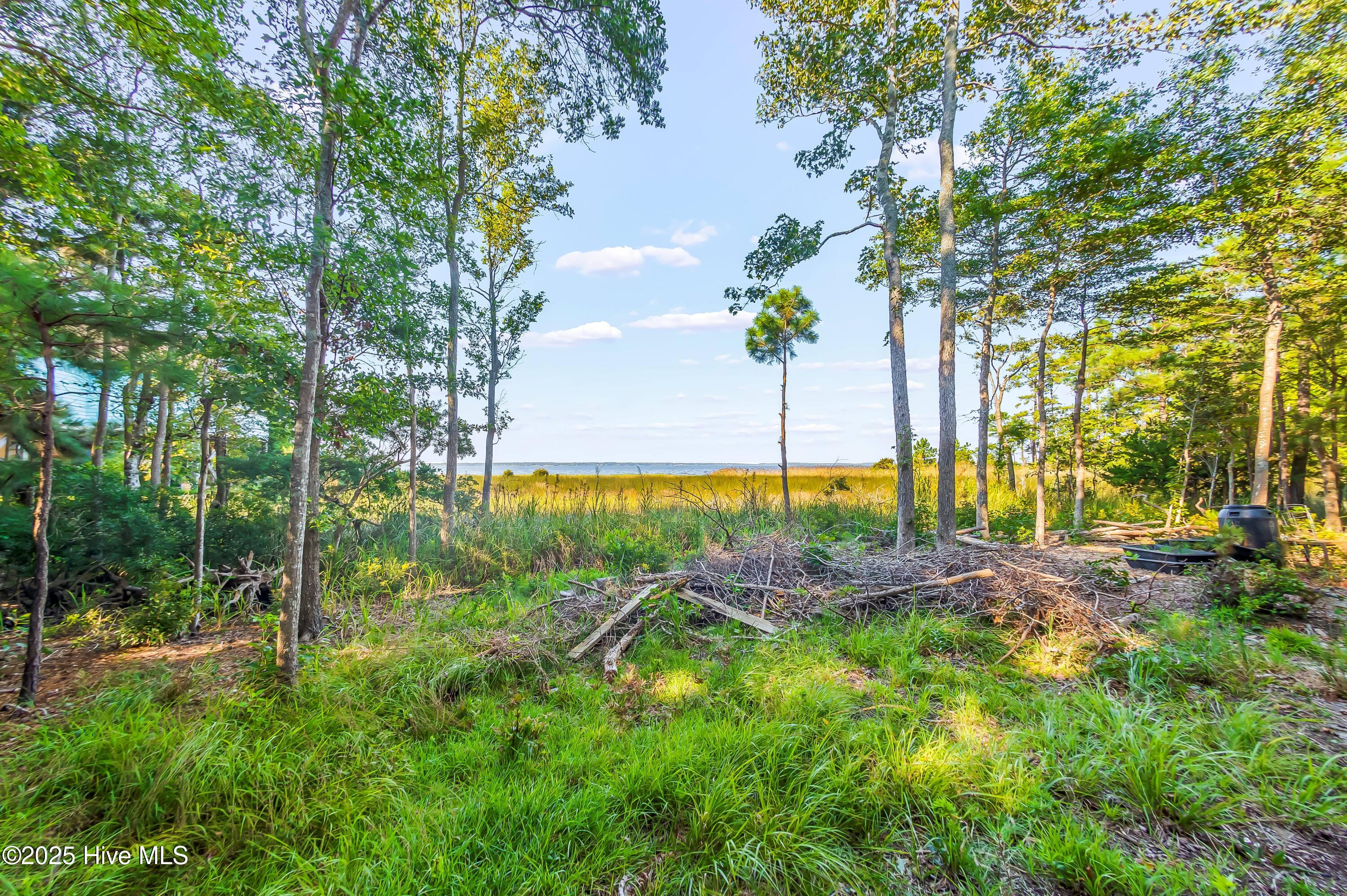 452 Indian Bluff Drive Property Photo 59
