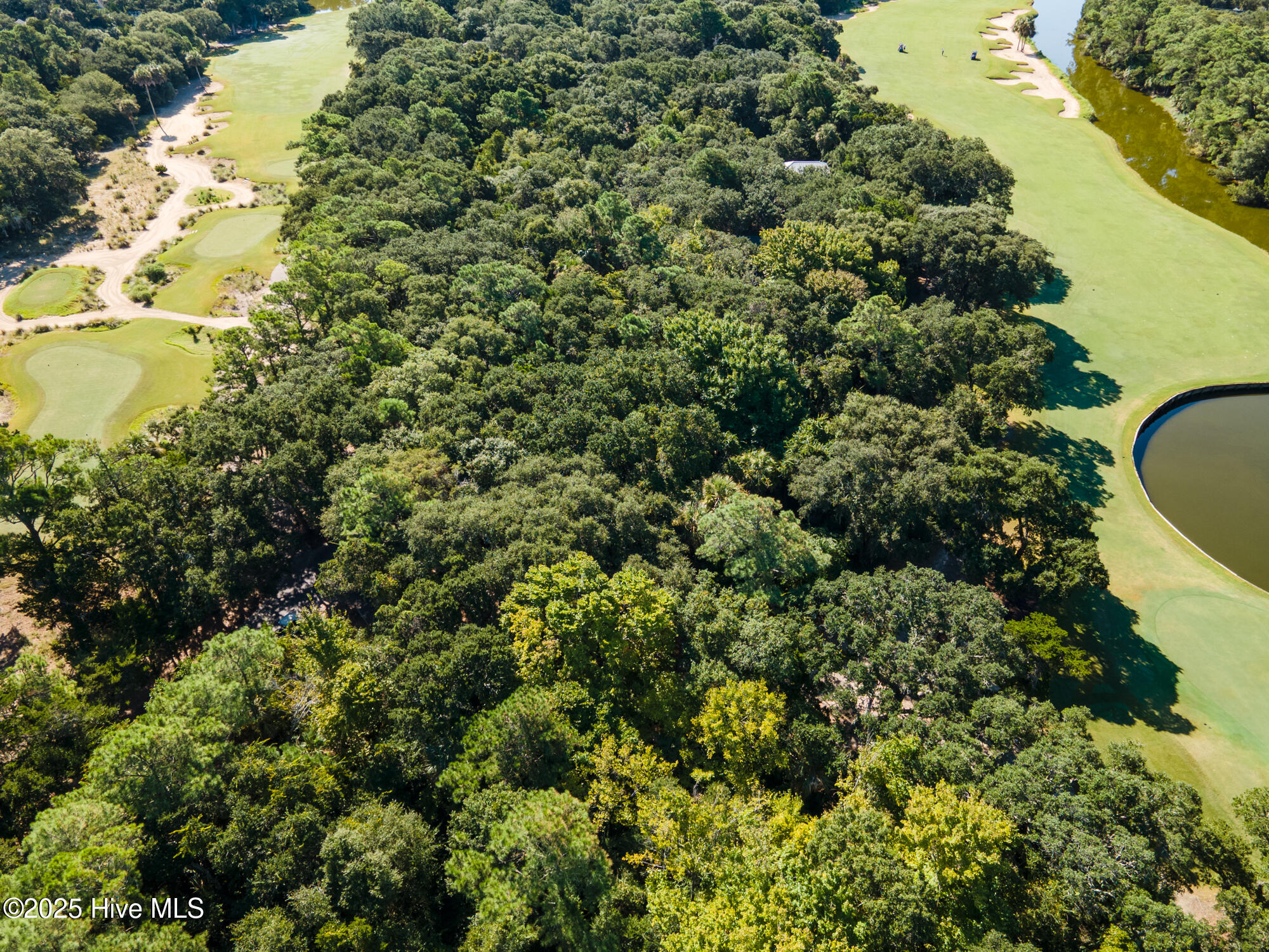 124 Stede Bonnet Wynd Property Photo 5